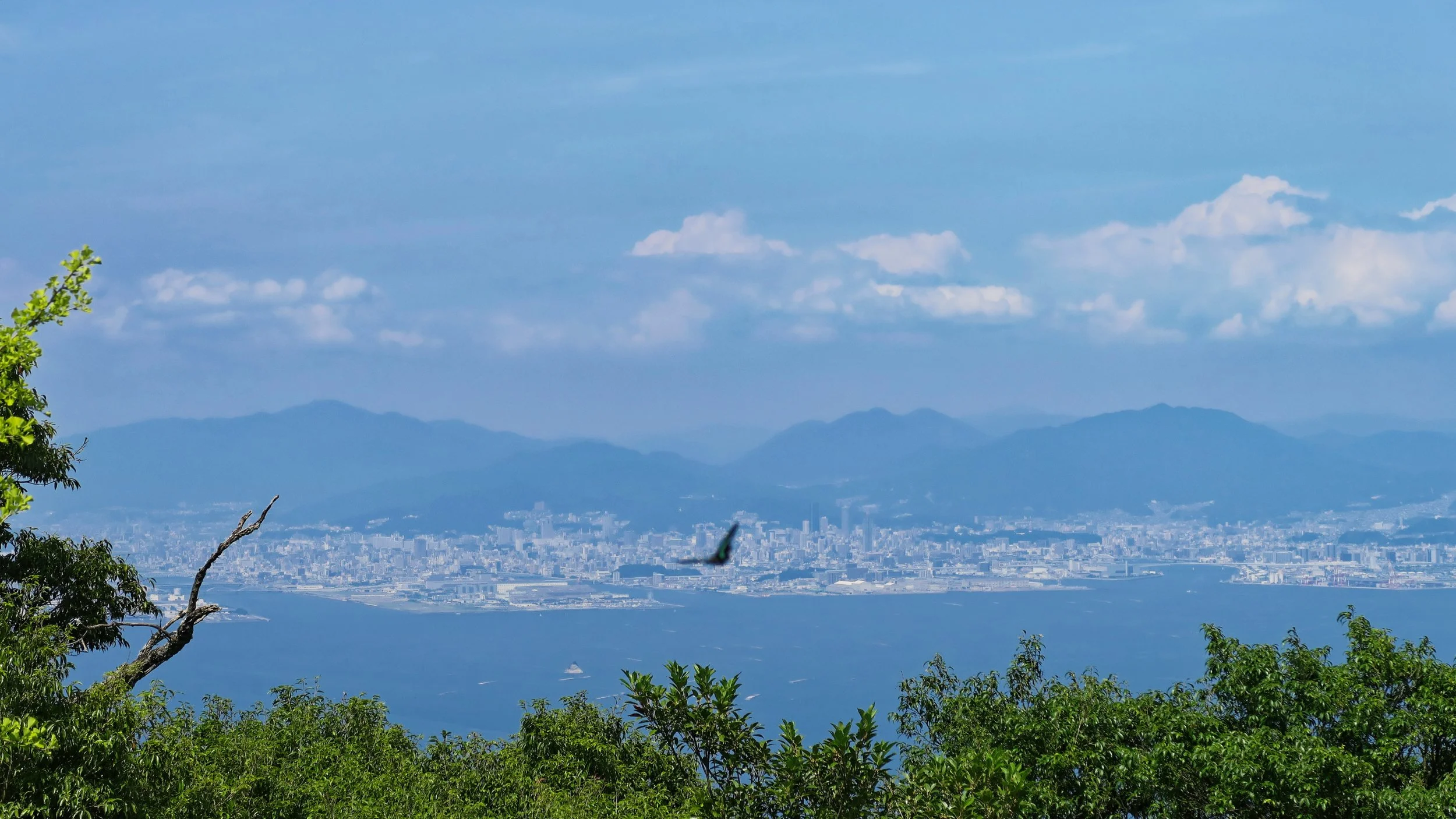 20190726 - 105_DxO.jpg