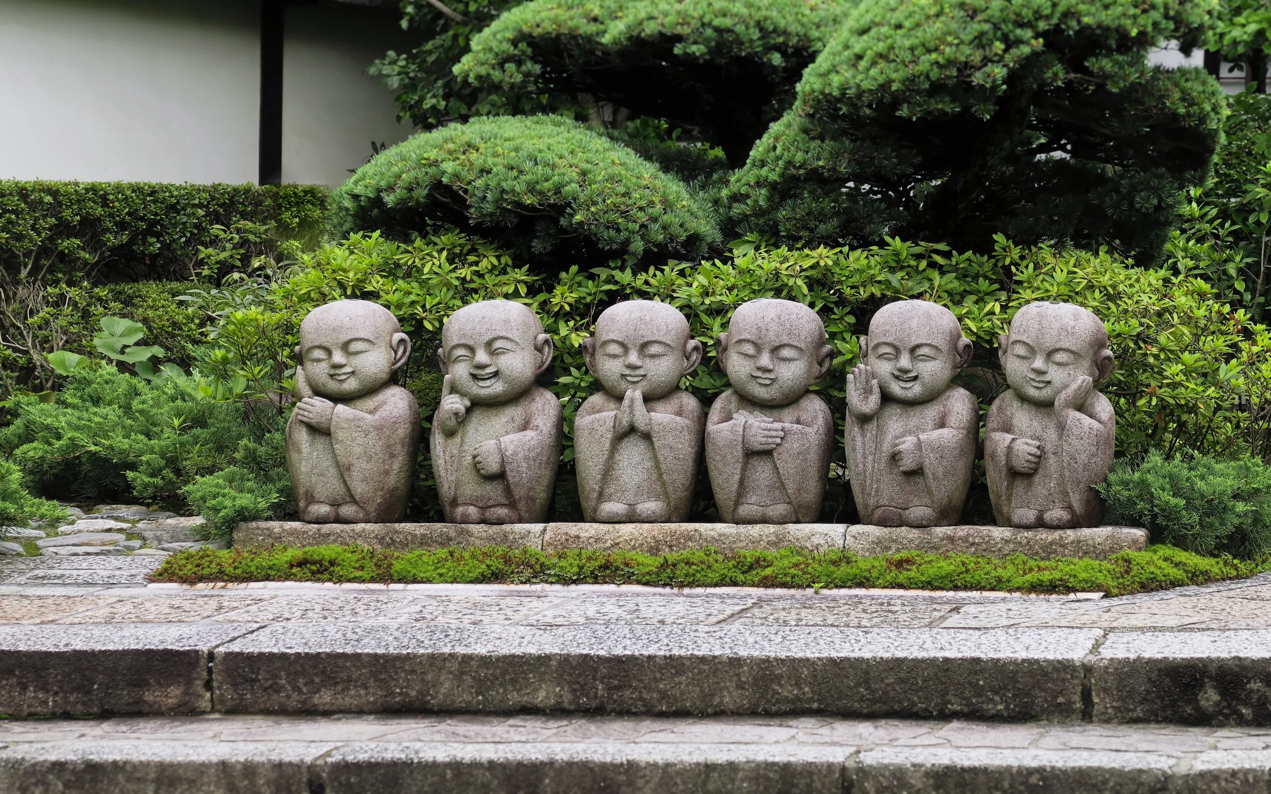 20190720 - 179_DxO.jpg