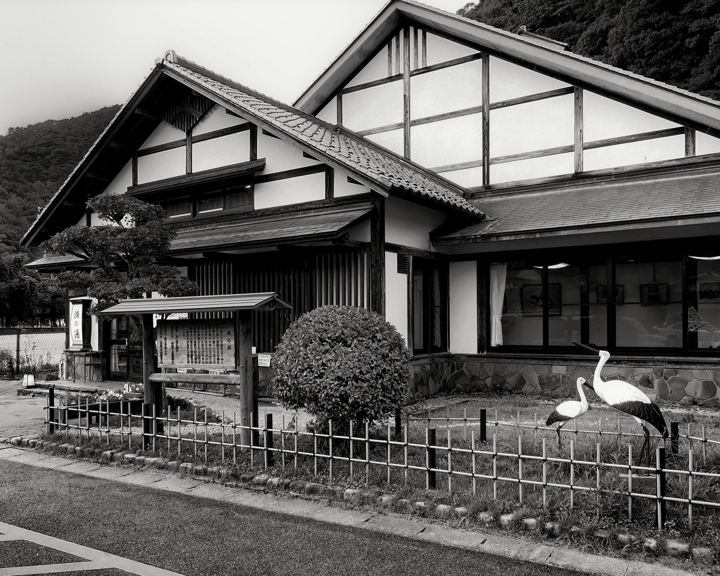 20190731 - 32_Nik_DxO.jpg