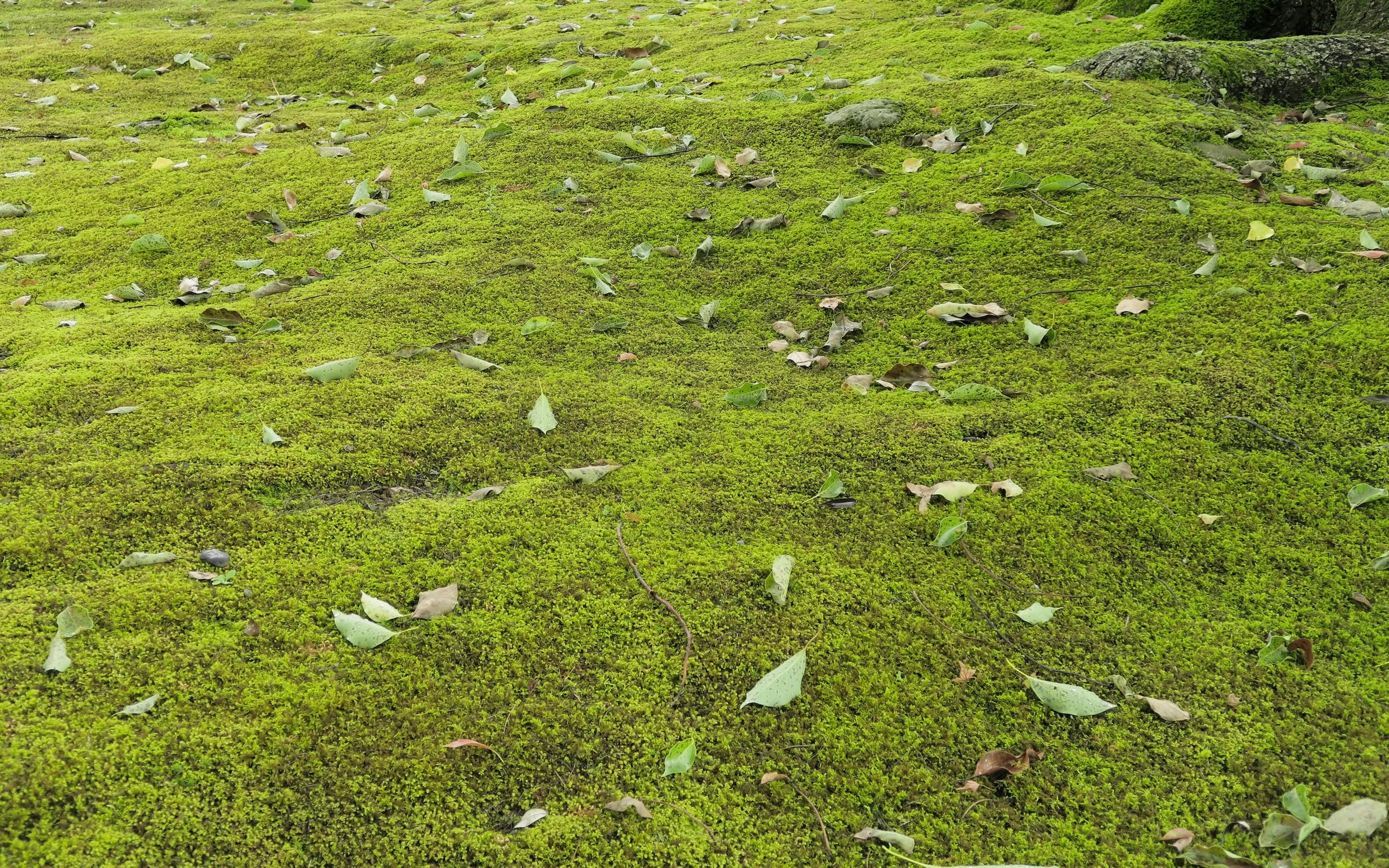 20190718 - 196_DxO.jpg