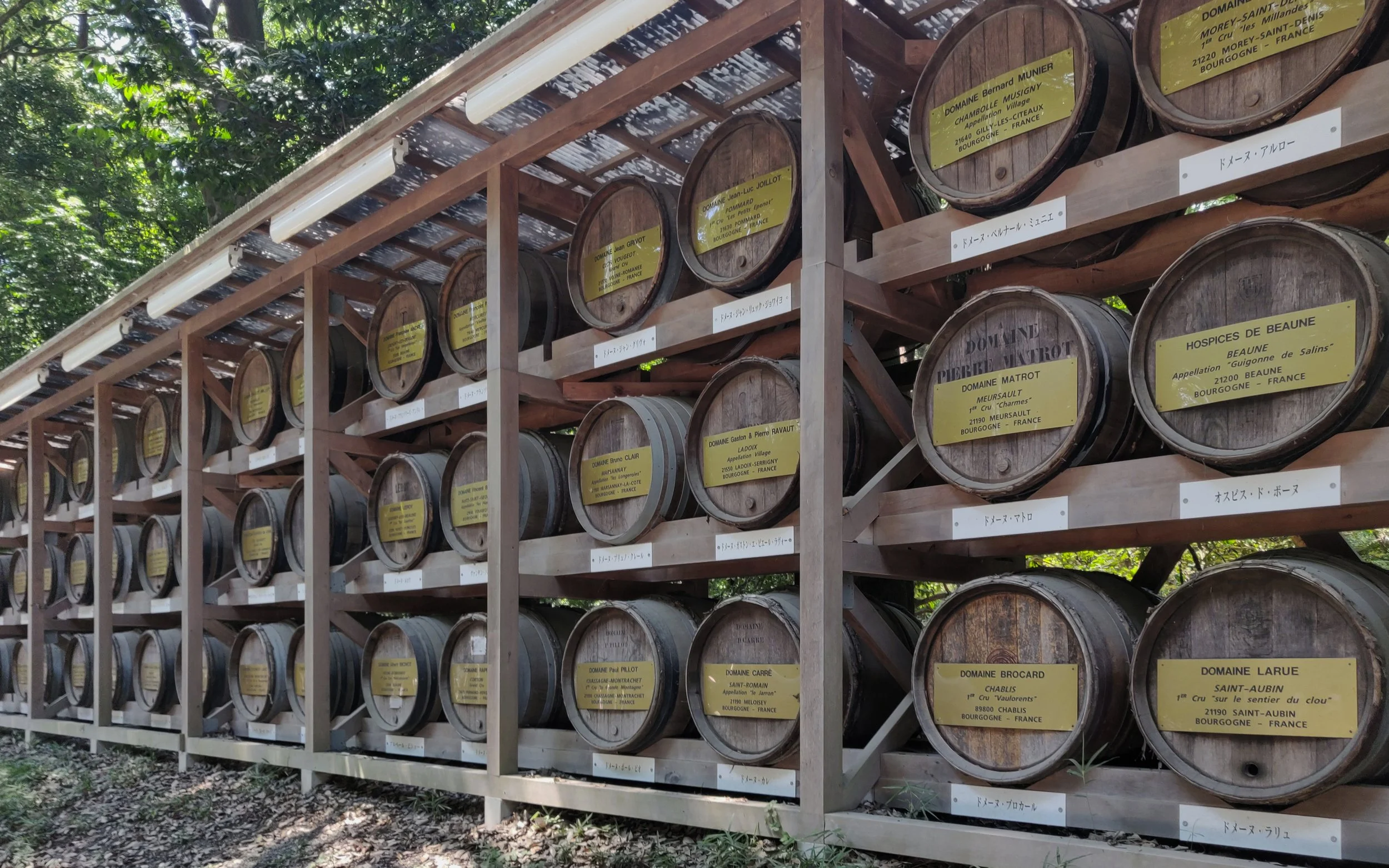 20190811 - 14_DxO.jpg