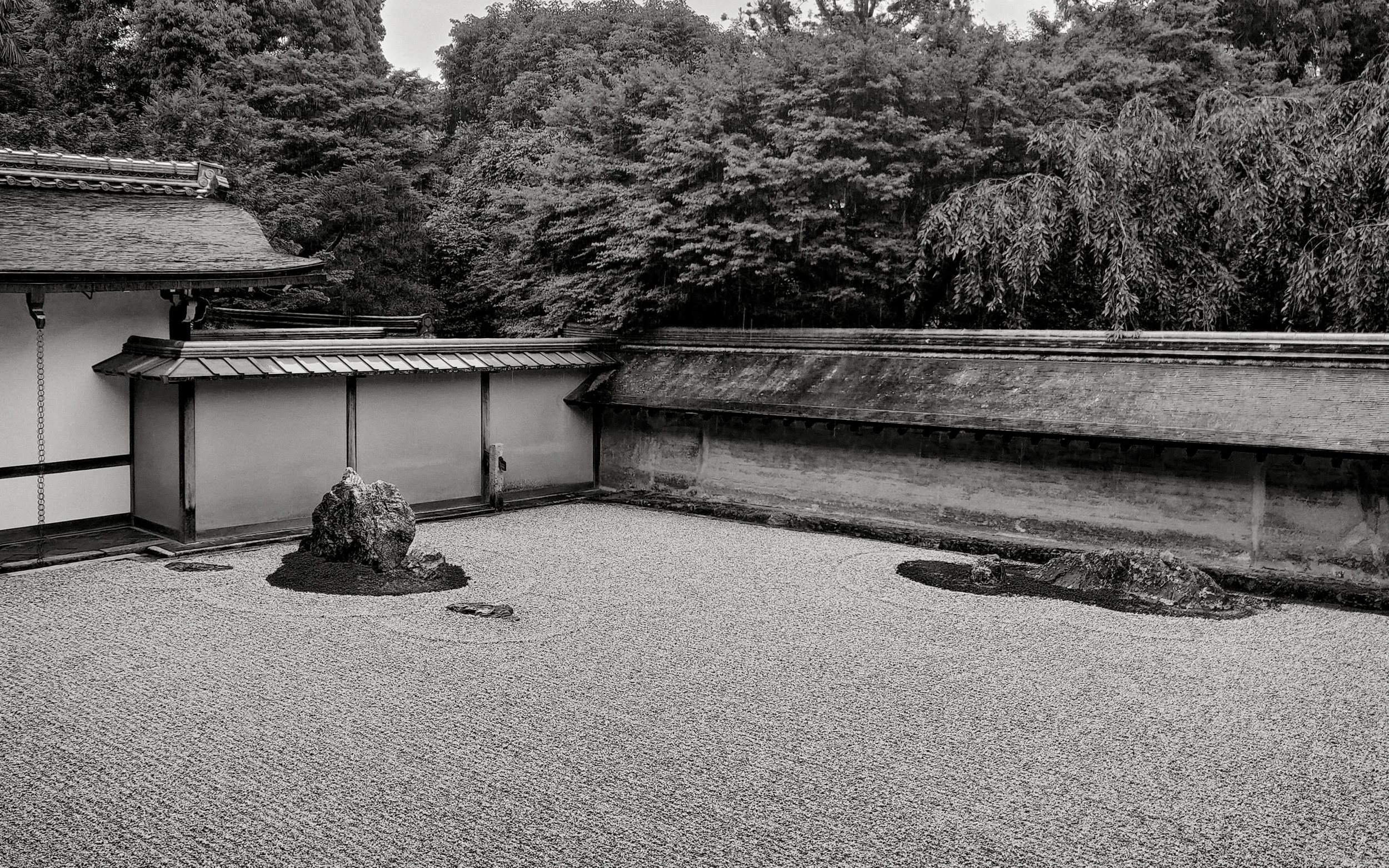 20190718 - 299_Nik_DxO.jpg