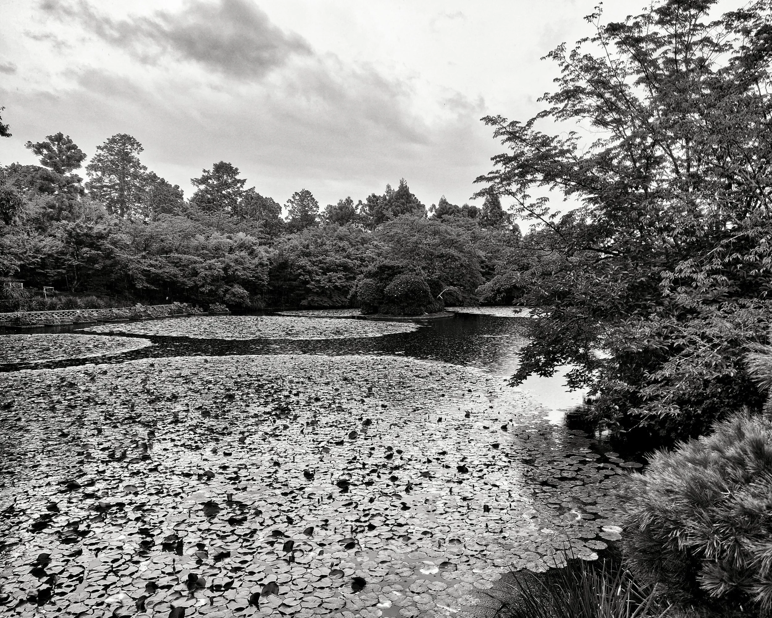 20190718 - 284_Nik_DxO.jpg