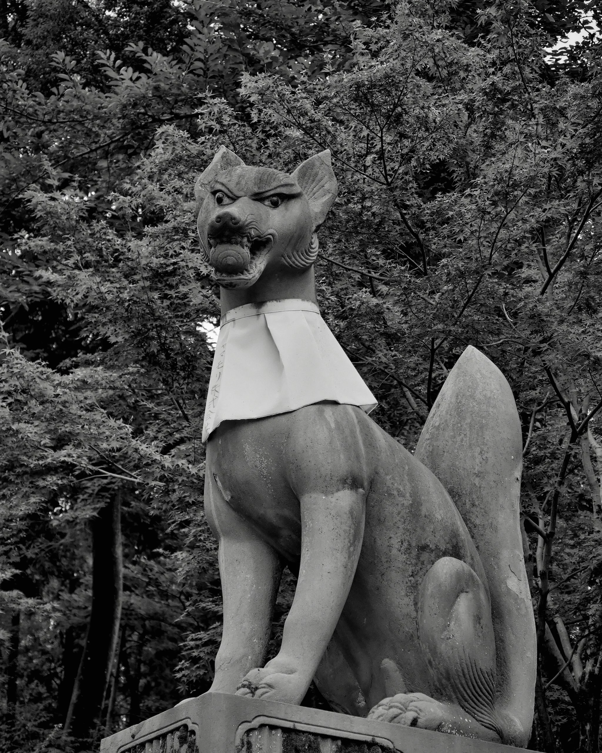 20190720 - 44_Nik-SEP_DxO.jpg