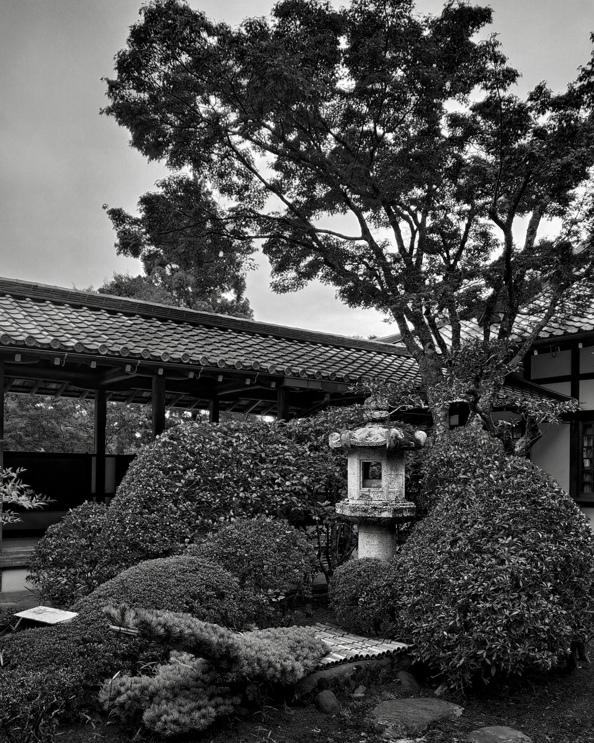 20190715 - 62_Nik_DxO.jpg