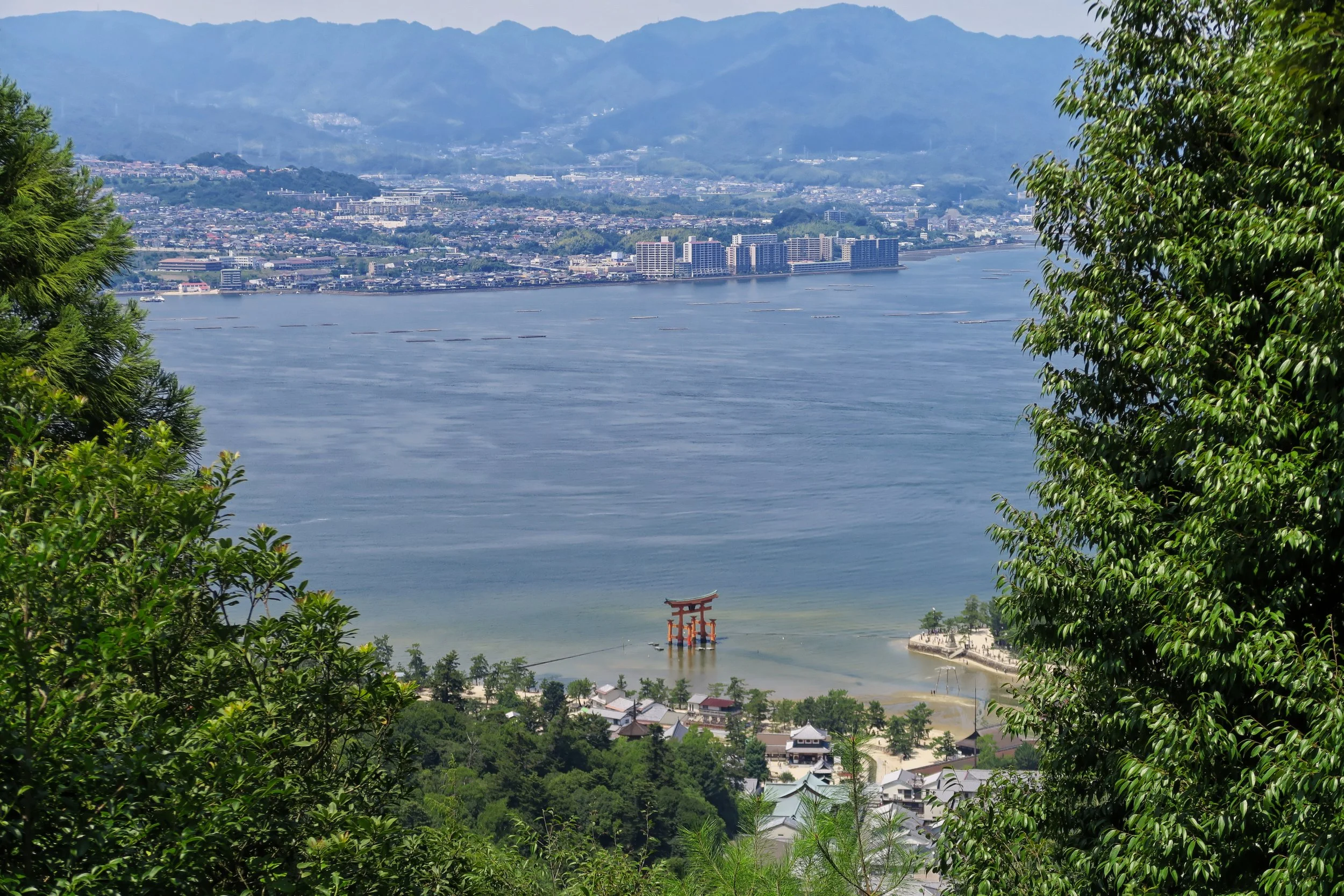 20190726 - 90_DxO.jpg