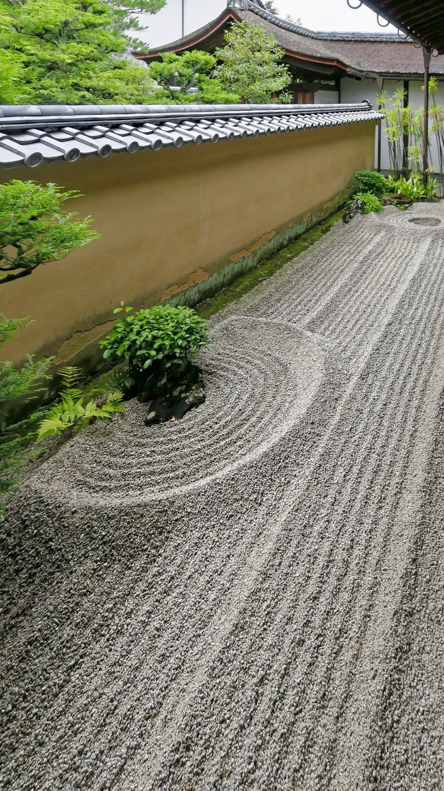 20190718 - 24_DxO.jpg