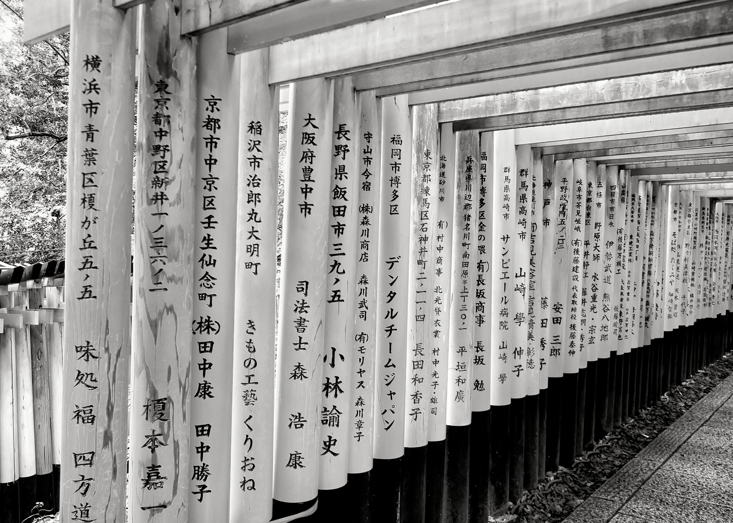 20190720 - 21_Nik_DxO.jpg