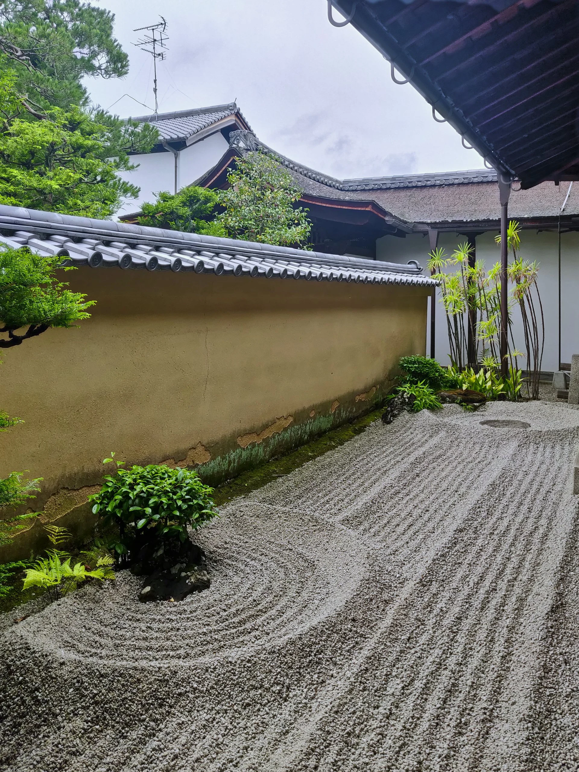 20190718 - 31_DxO.jpg