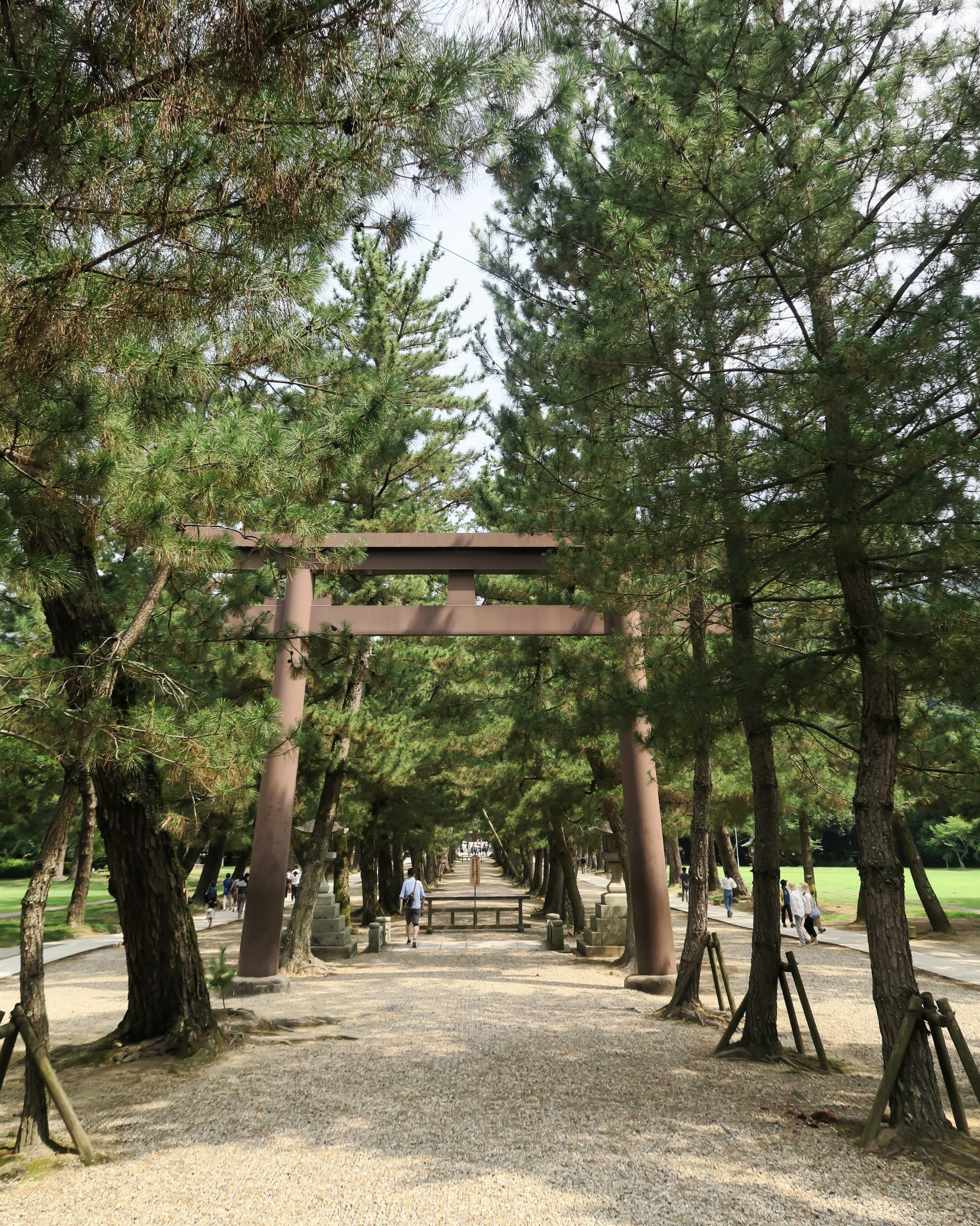 20190729 - 7_DxO.jpg