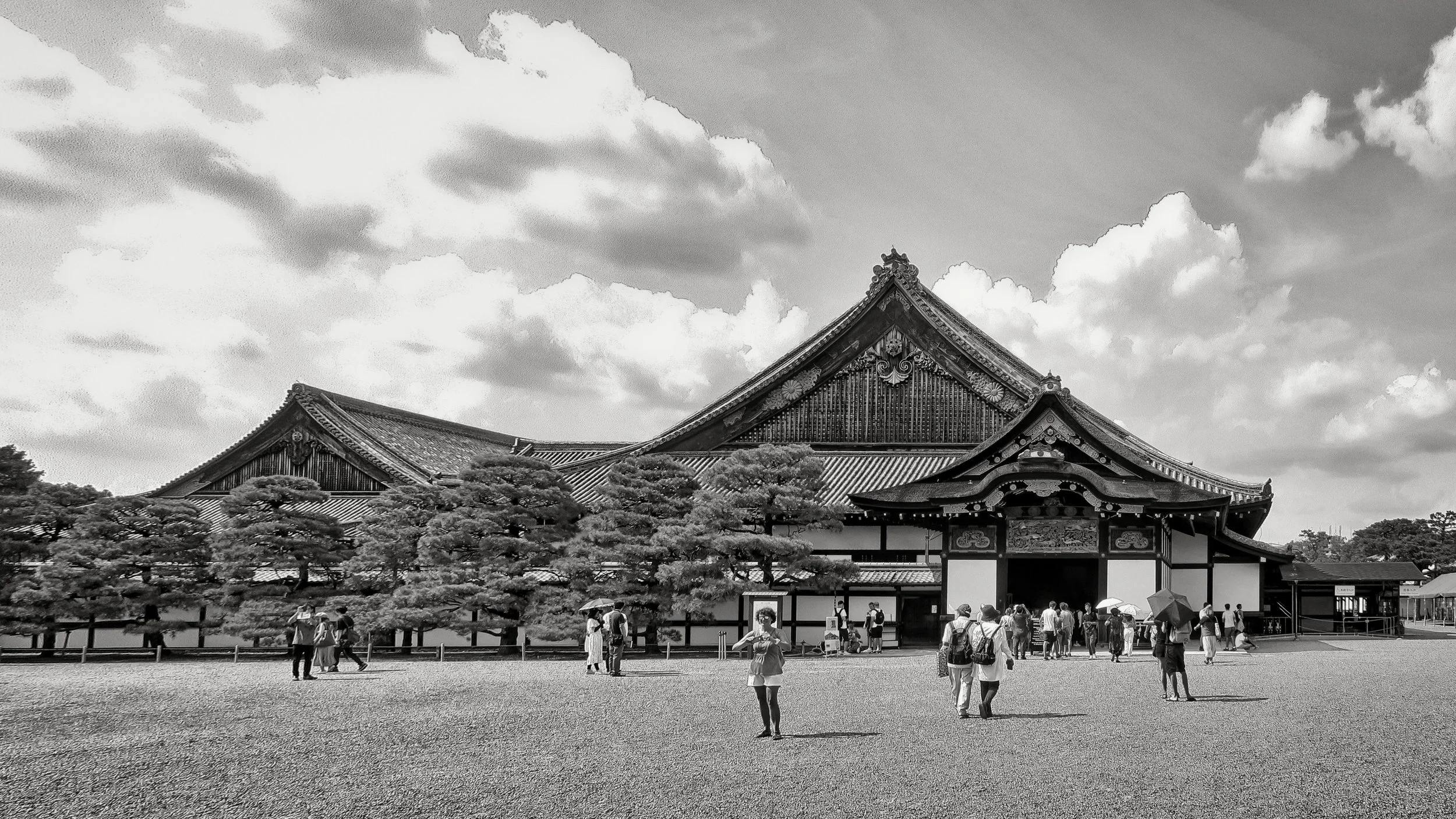 20190717 - 180_Nik_DxO.jpg