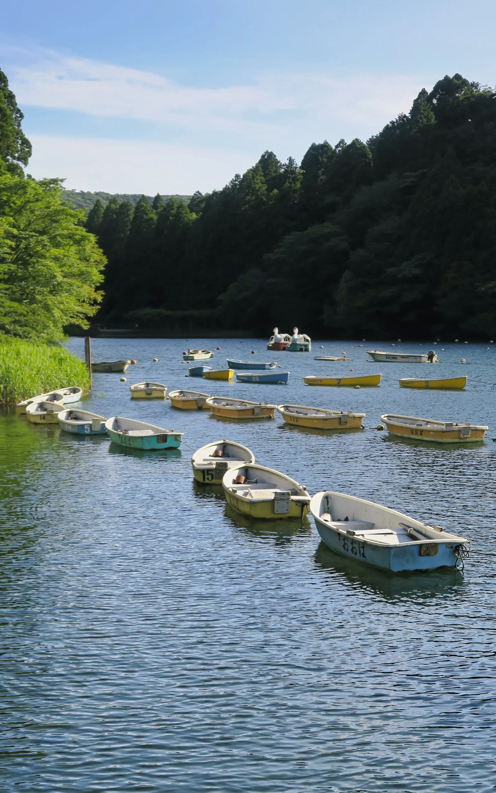 20190805 - 217_DxO.jpg