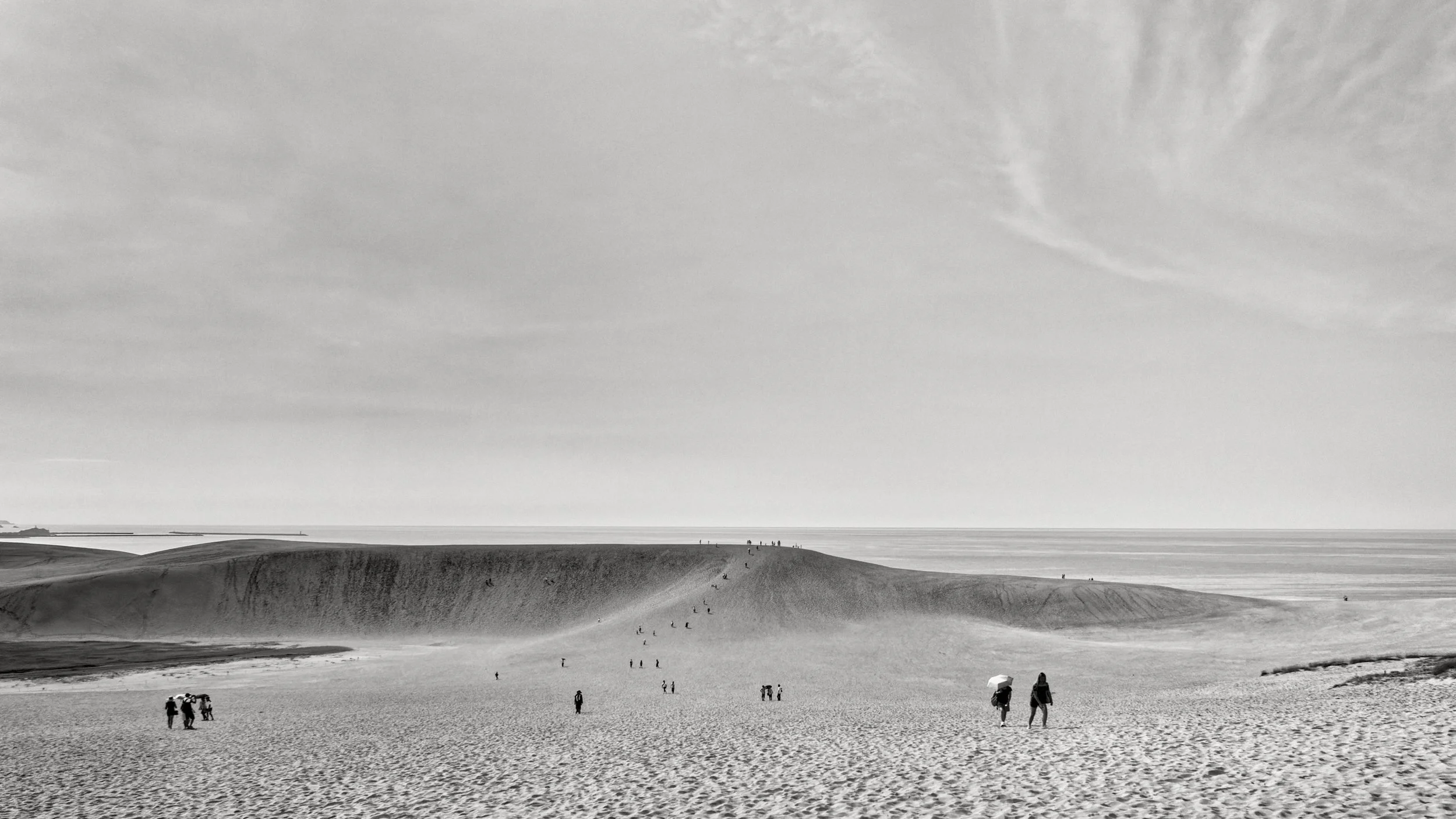 20190730 - 19_Nik_DxO.jpg