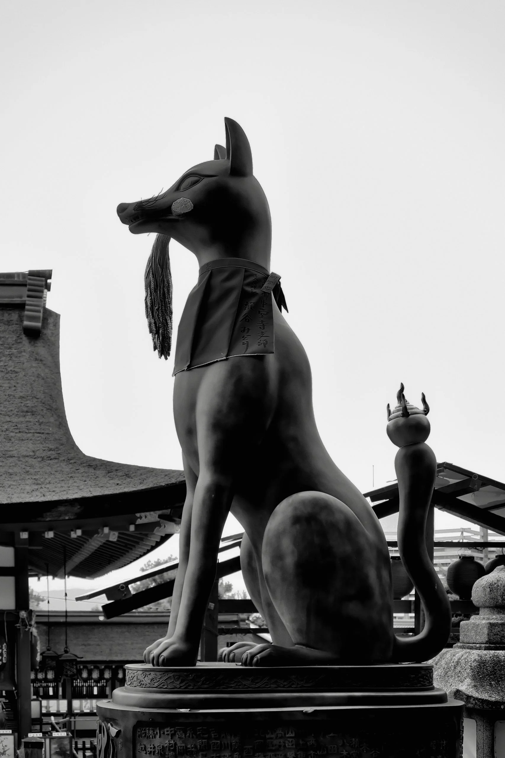 20190720 - 9_Nik-SEP_DxO.jpg