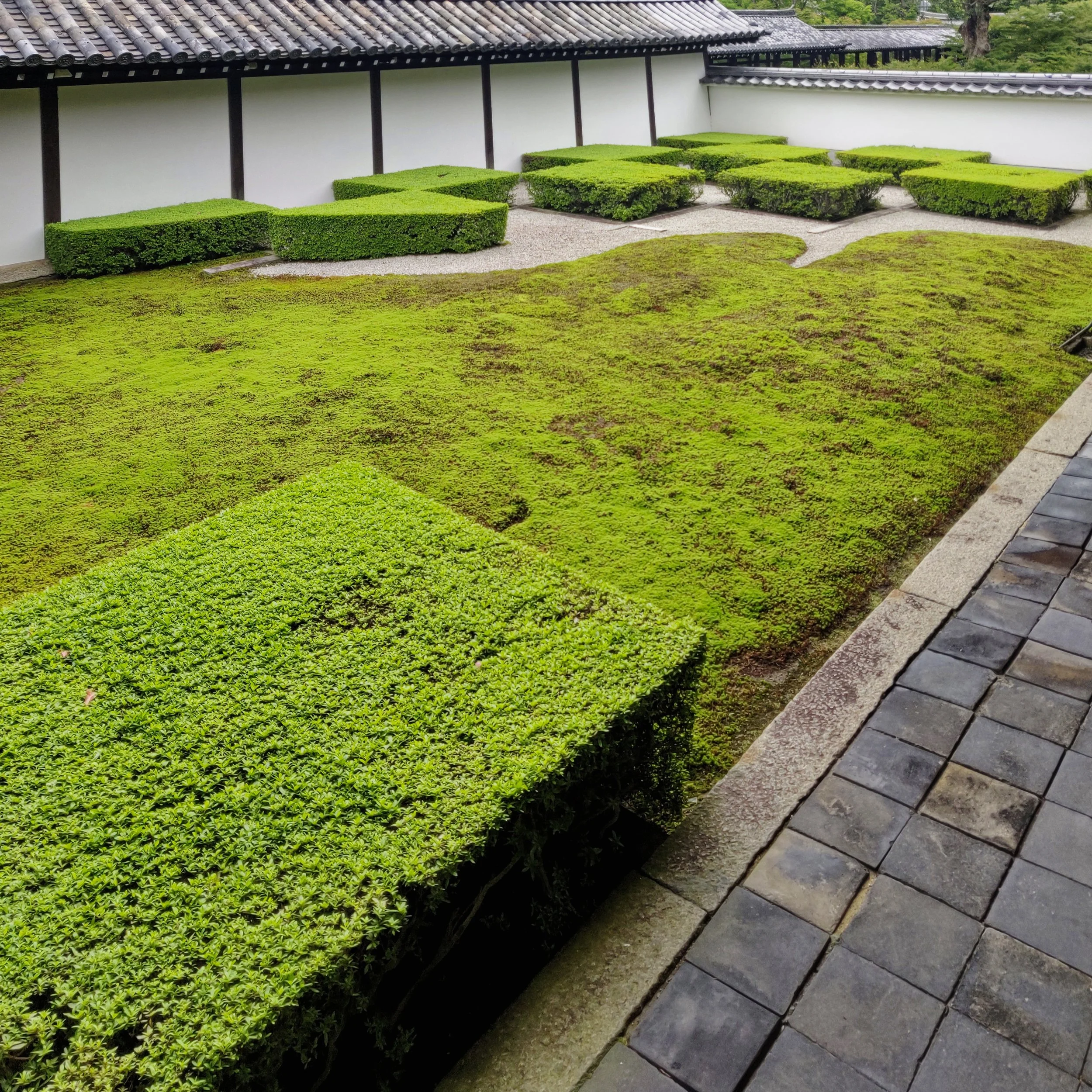 20190720 - 100_DxO.jpg