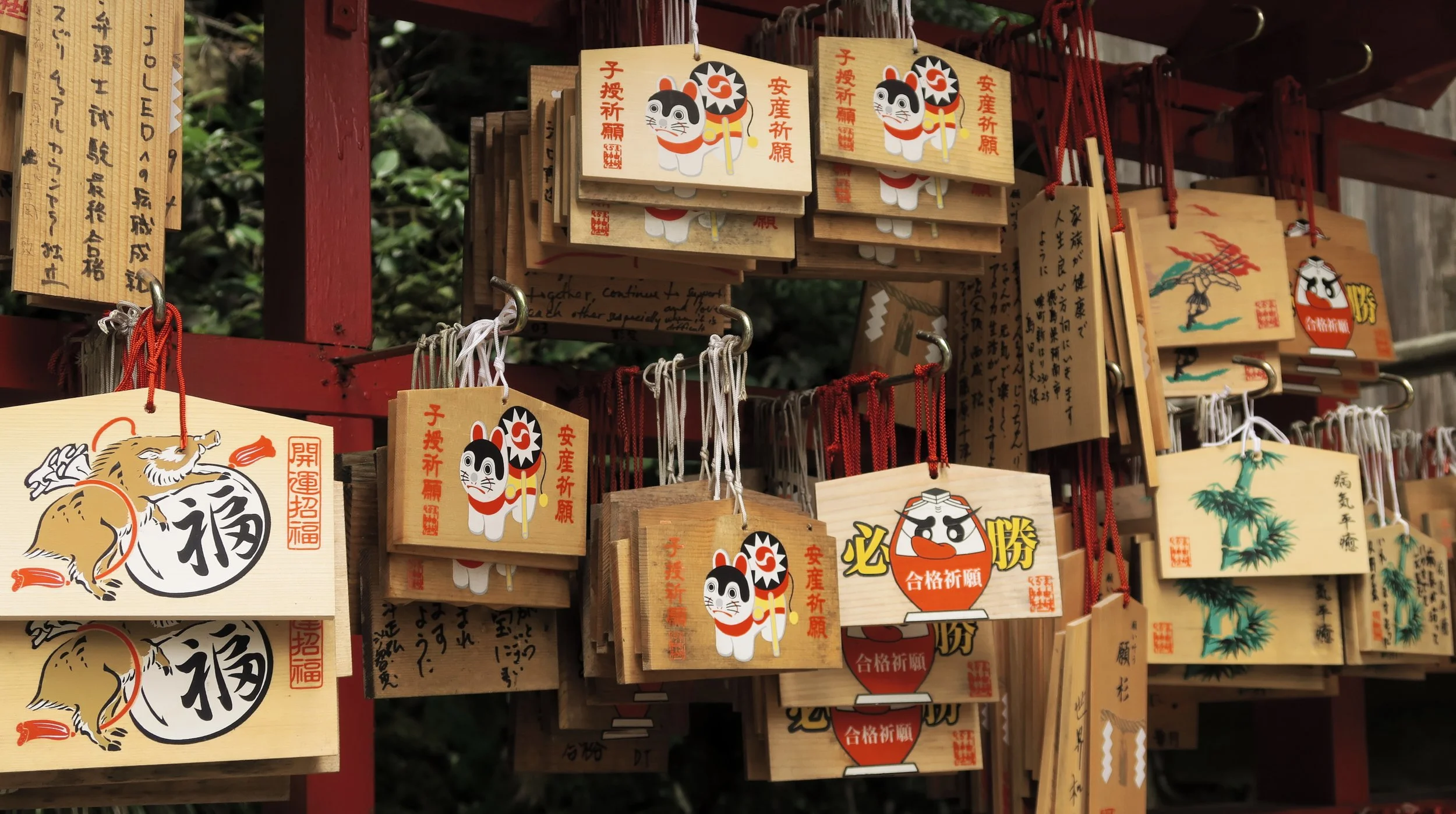 20190715 - 35_DxO.jpg