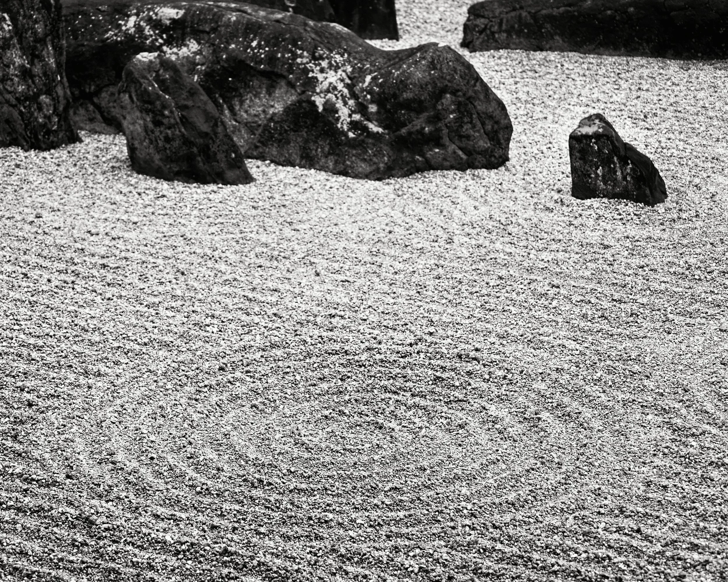 20190720 - 125_Nik_DxO.jpg