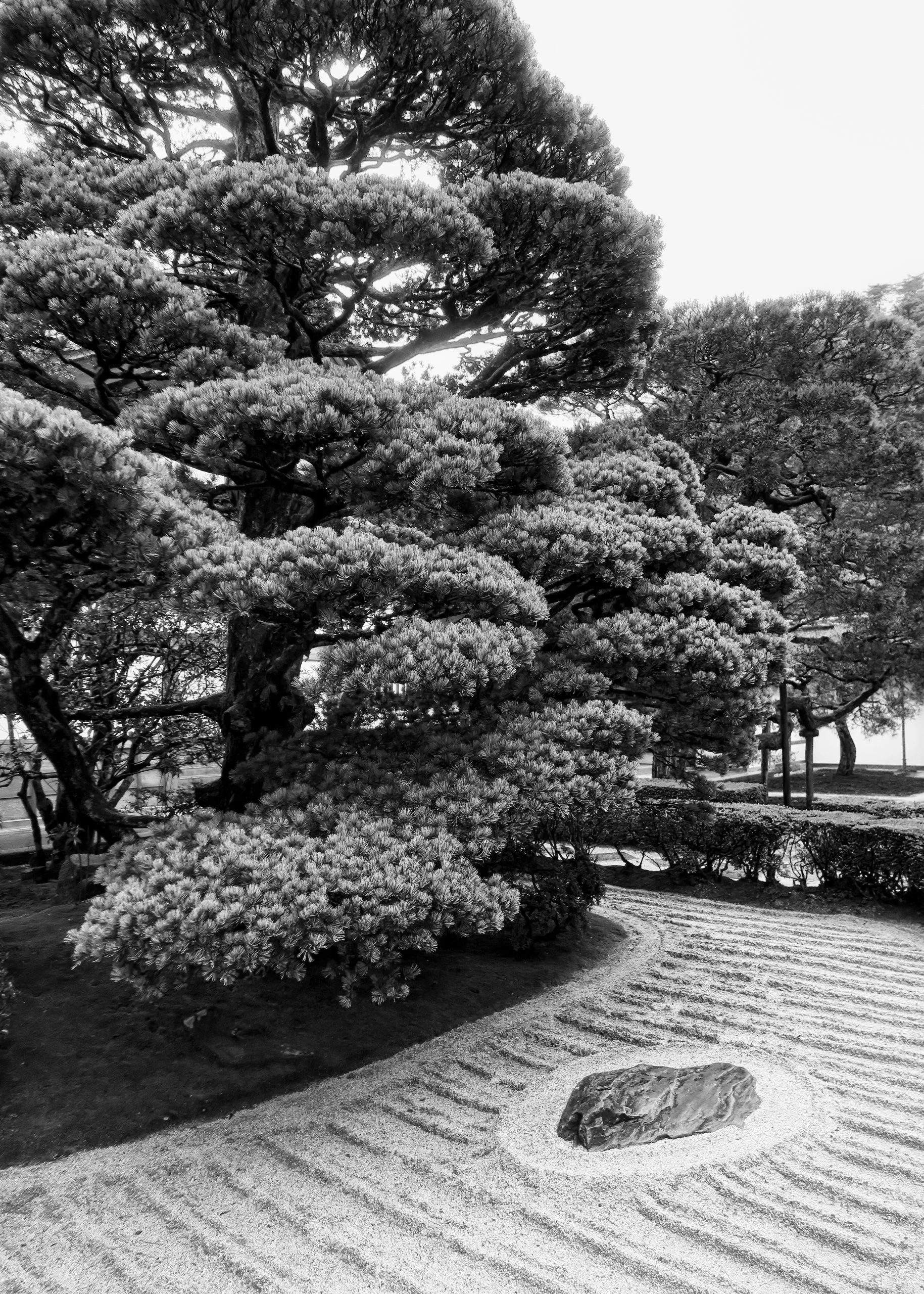 20190719 - 7_Nik_DxO.jpg