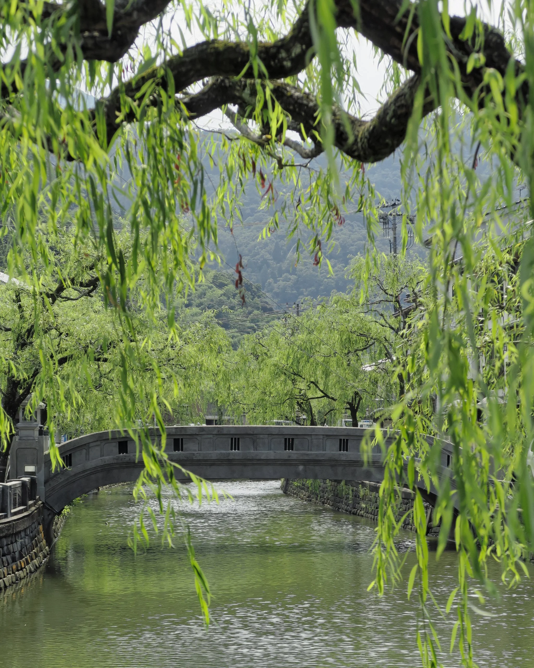 20190731 - 11_DxO.jpg