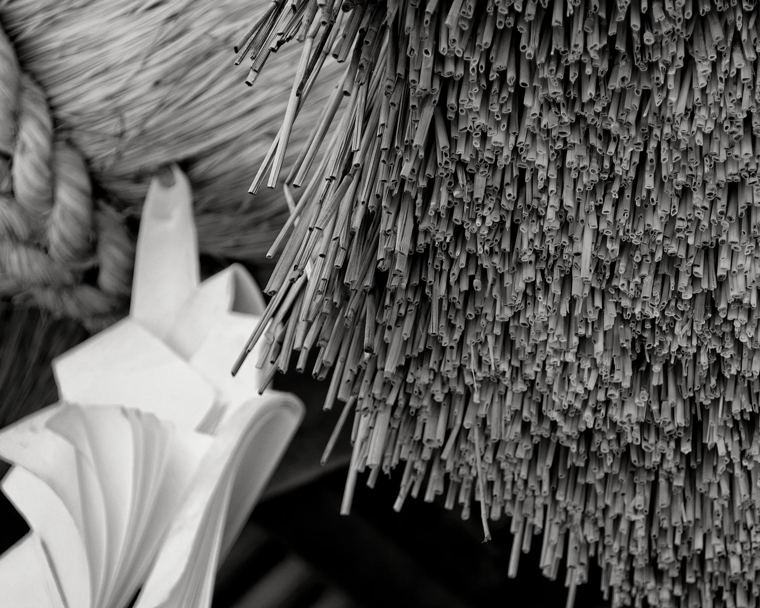 20190729 - 19_5x4_DxO.jpg