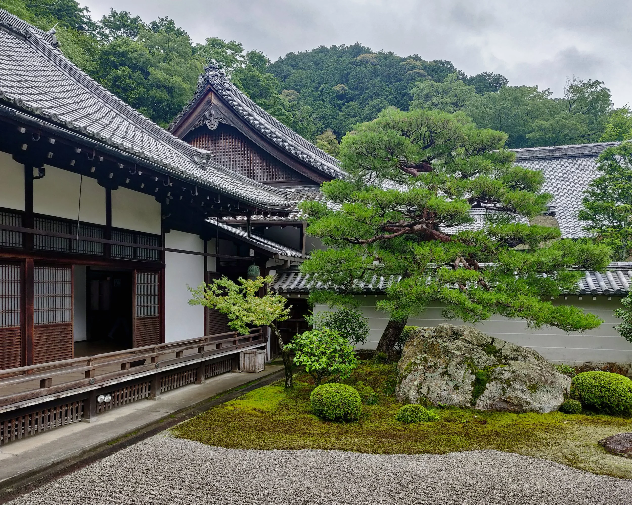 20190719 - 333_DxO.jpg