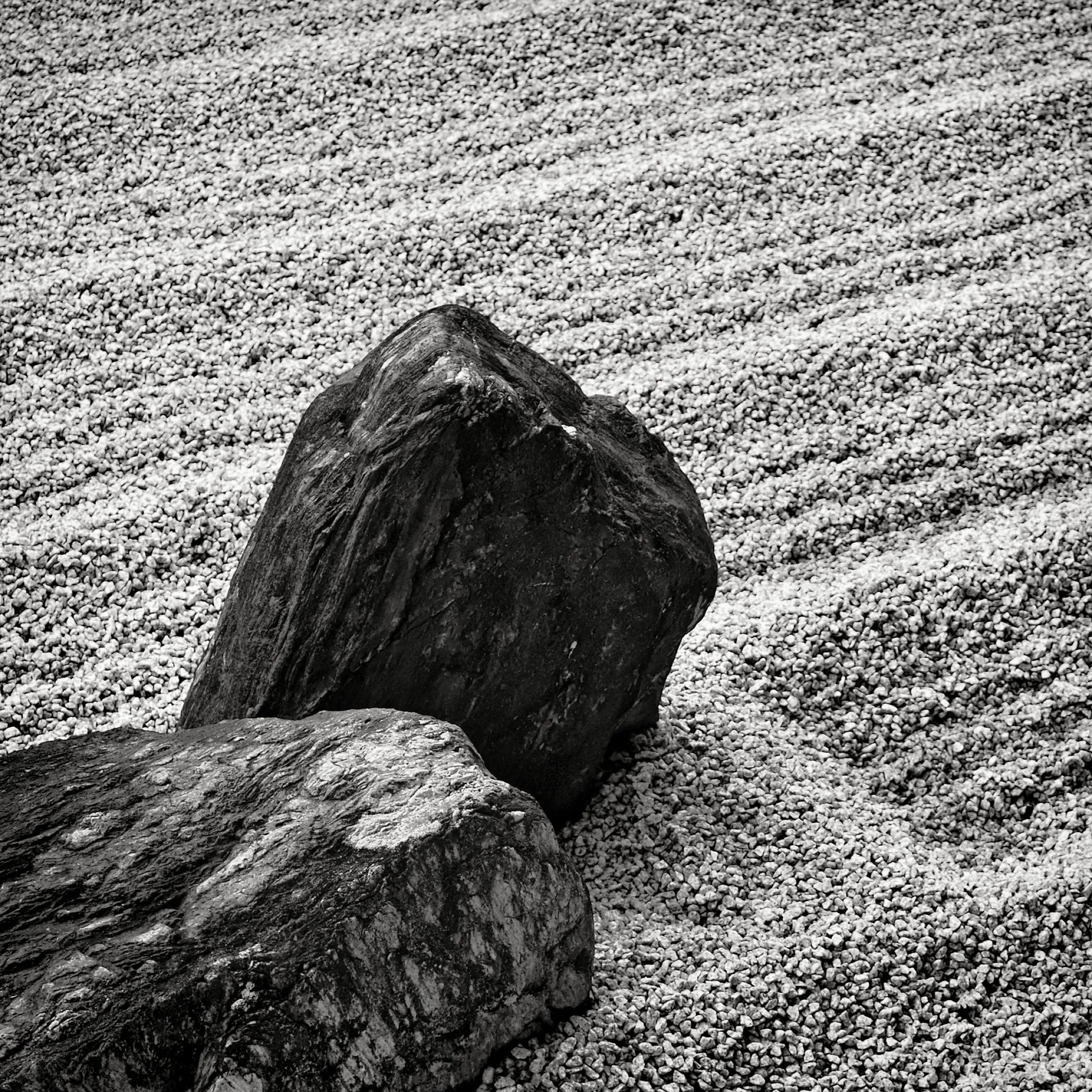 20190718 - 188_Nik_DxO.jpg