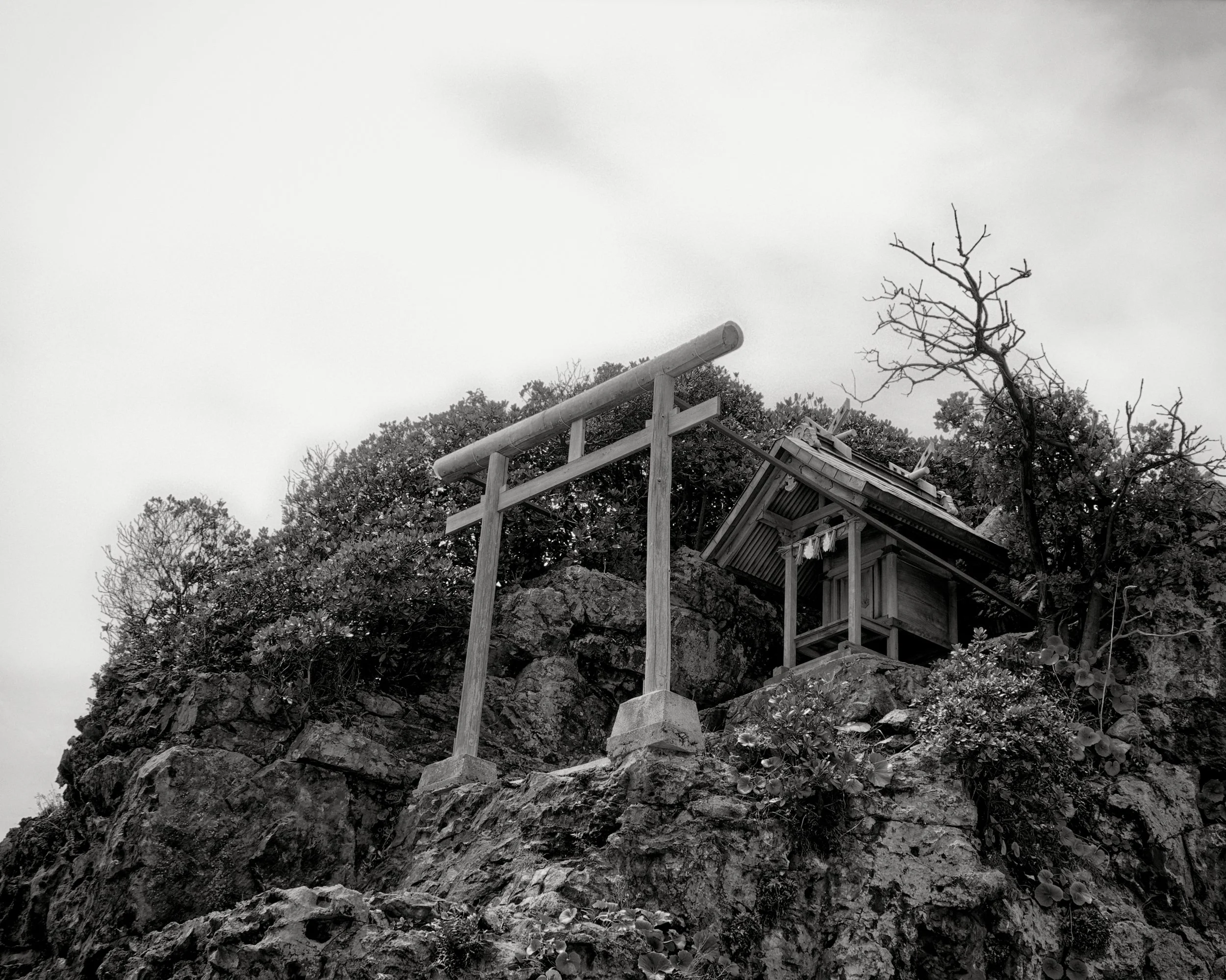 20190729 - 107_Nik_DxO.jpg