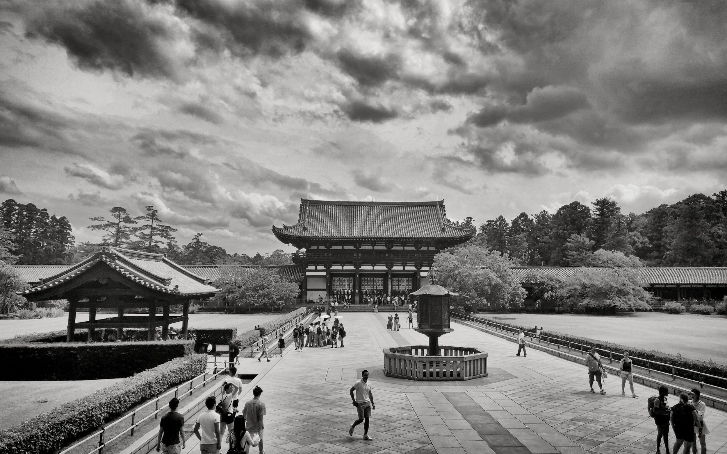 20190716 - 119_Nik_DxO.jpg