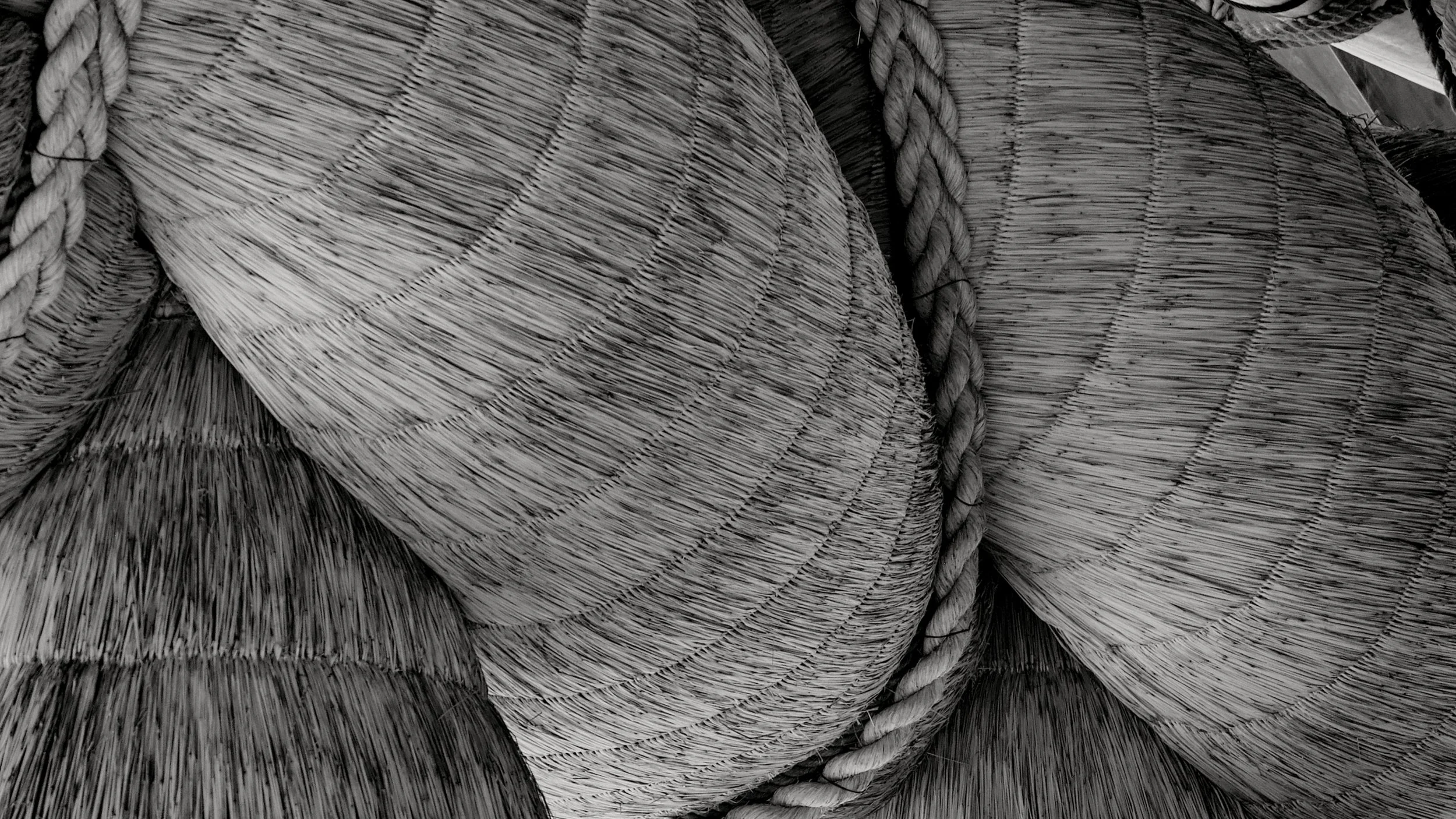 20190729 - 37_Nik_DxO.jpg