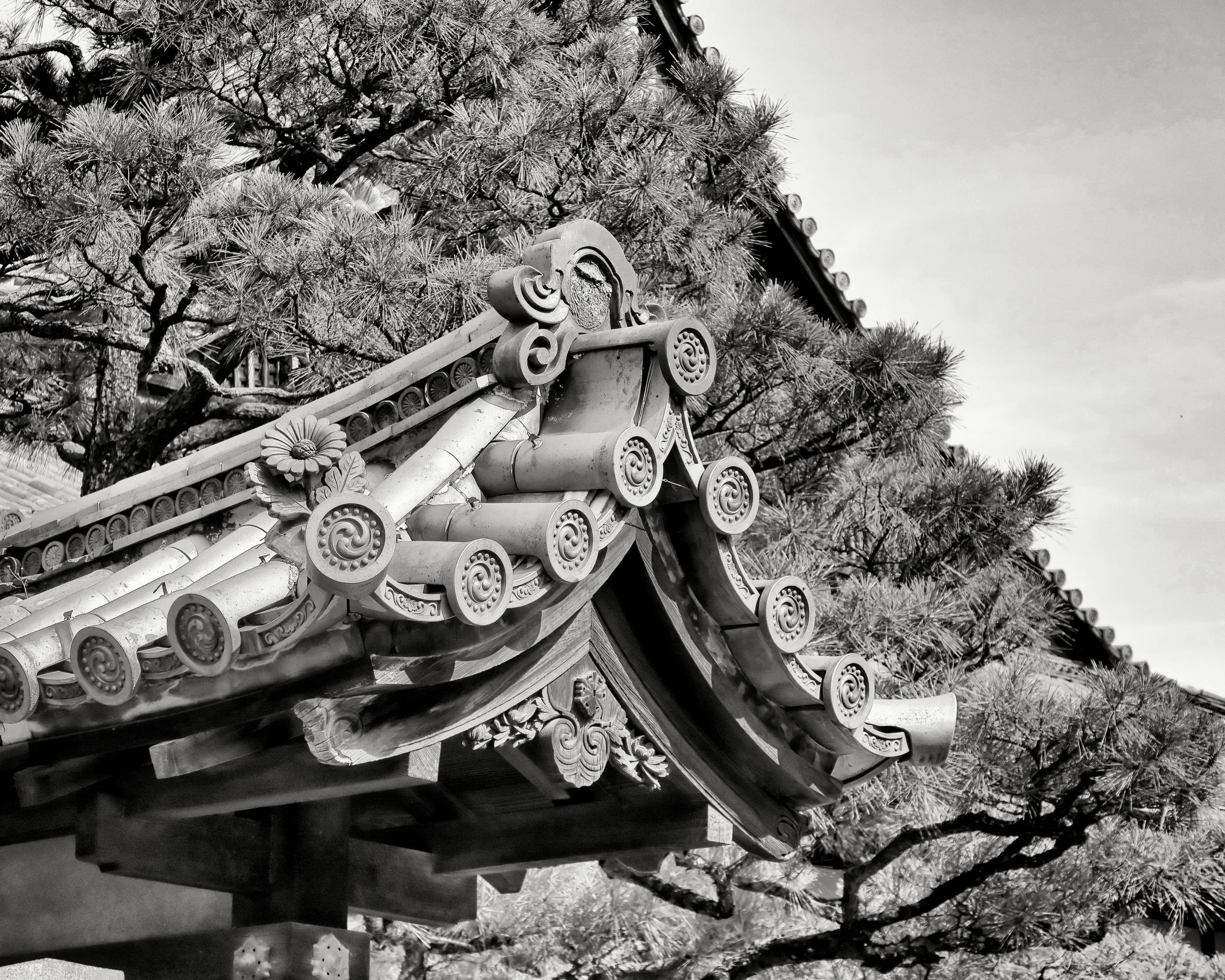 20190717 - 213_Nik_DxO.jpg