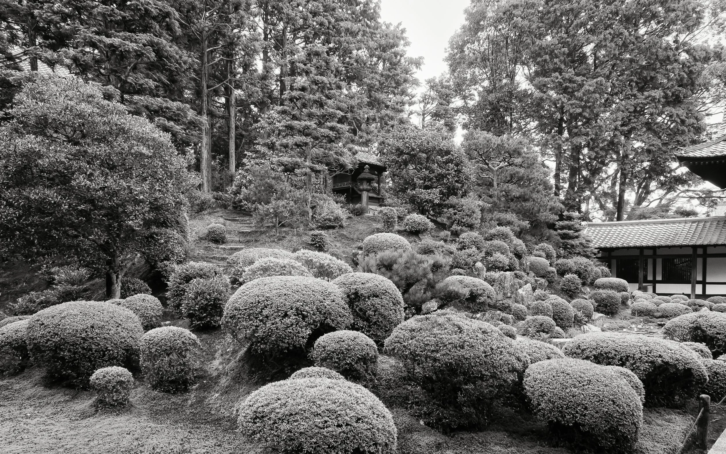 20190720 - 166_Nik_DxO.jpg