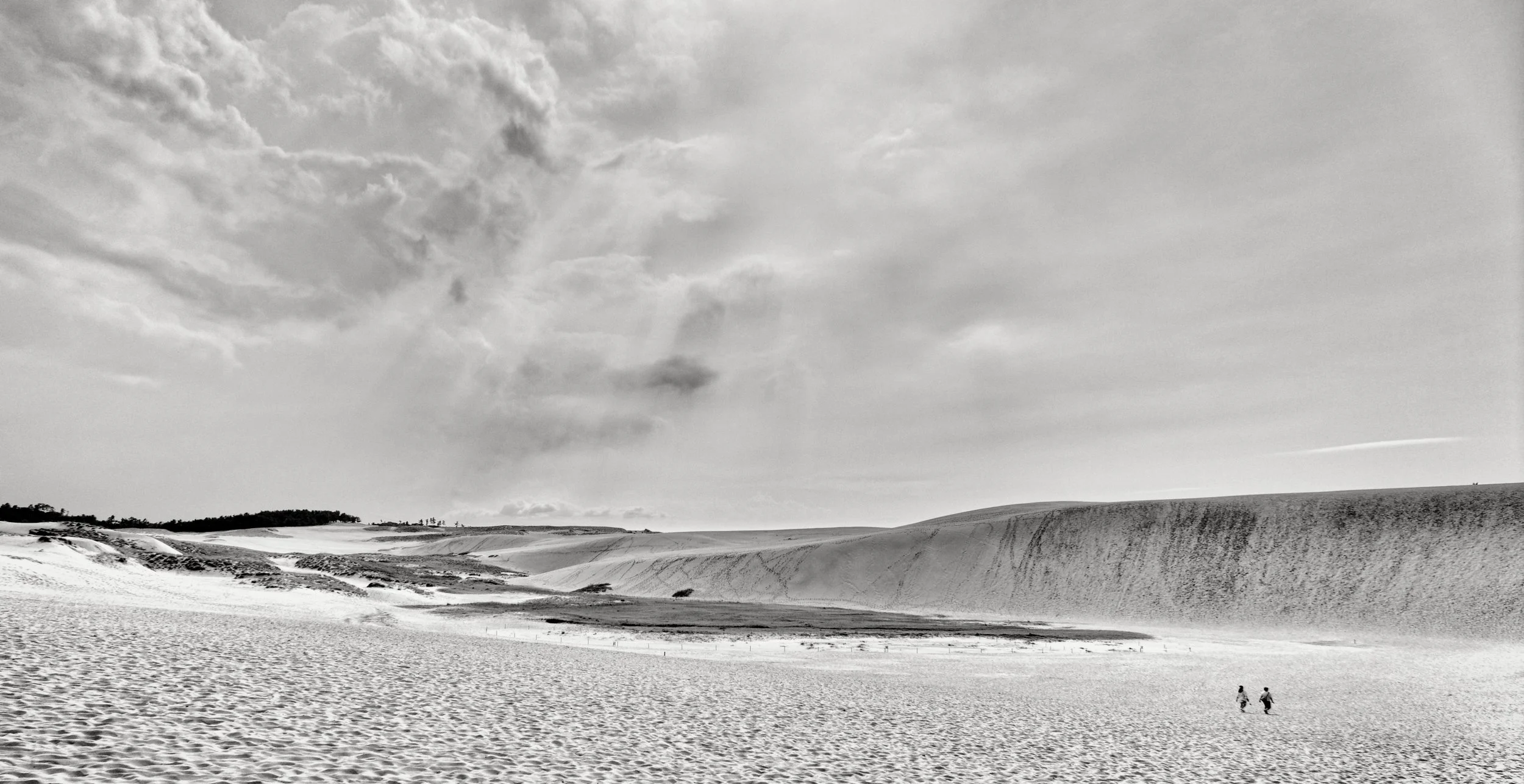 20190730 - 25_Nik_DxO.jpg