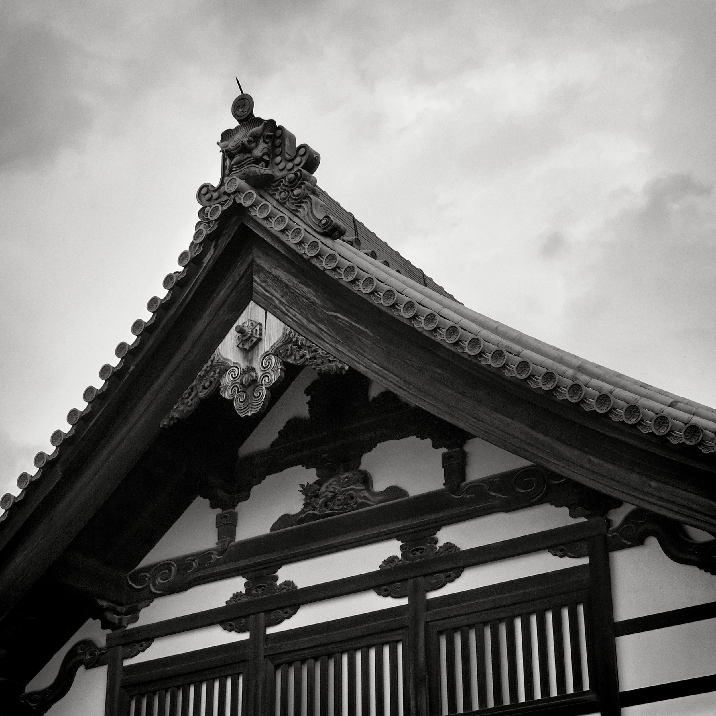 20190718 - 197_Nik_DxO.jpg