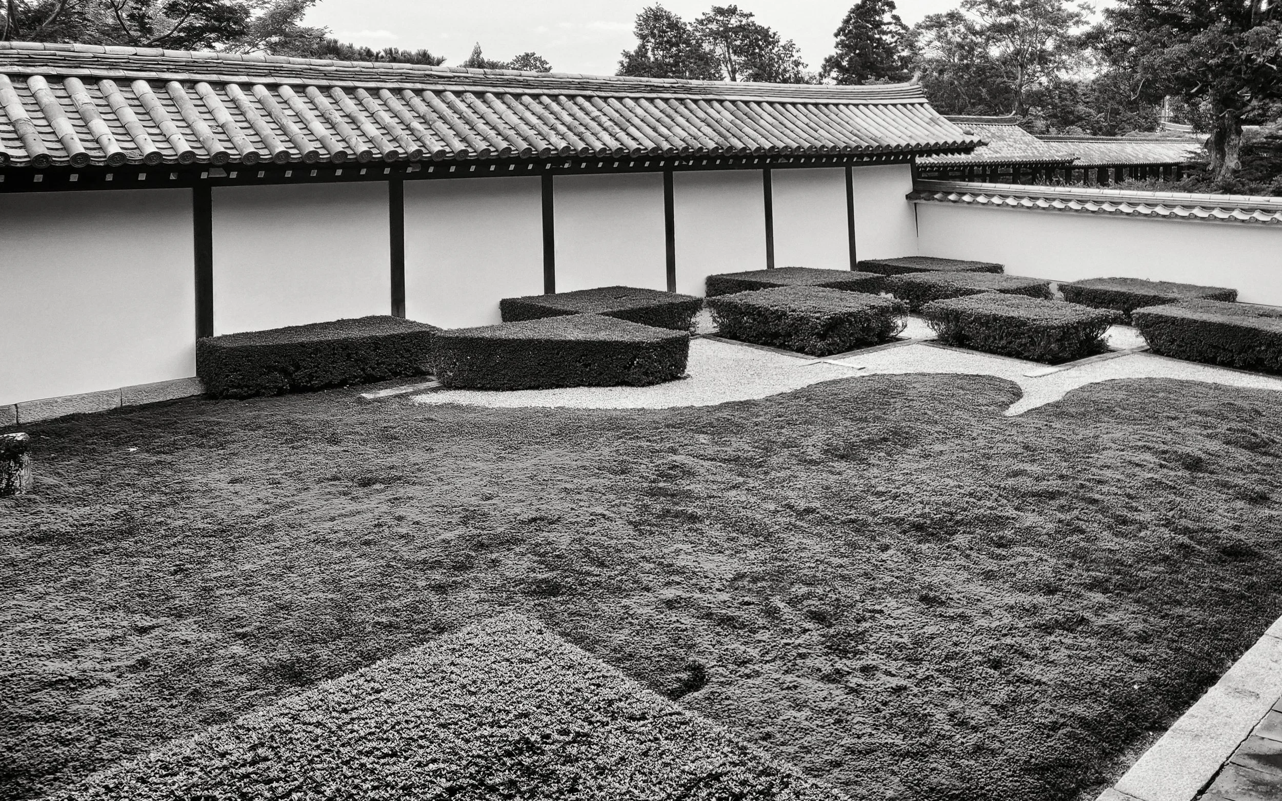 20190720 - 101_Nik_DxO.jpg