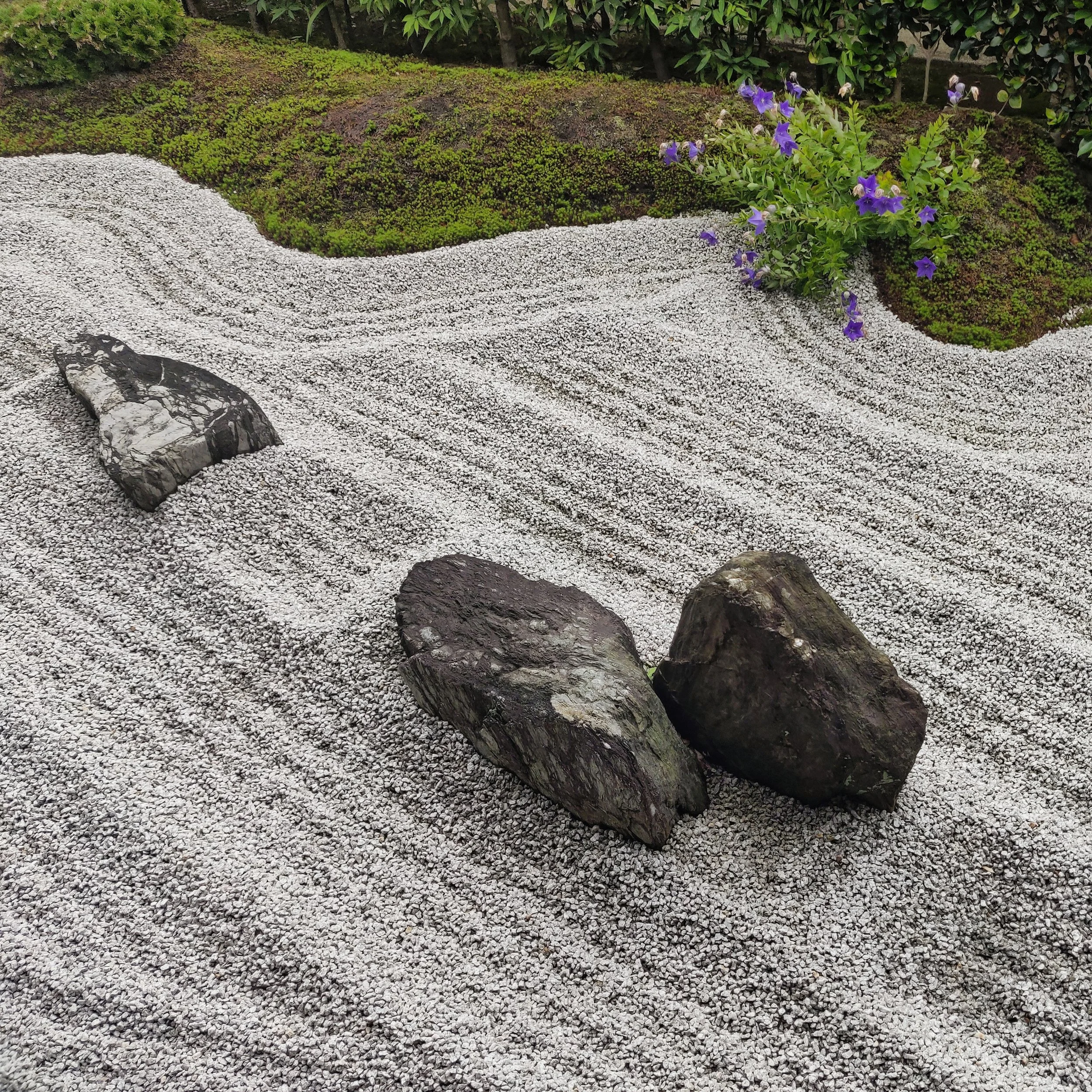 20190718 - 183_DxO.jpg