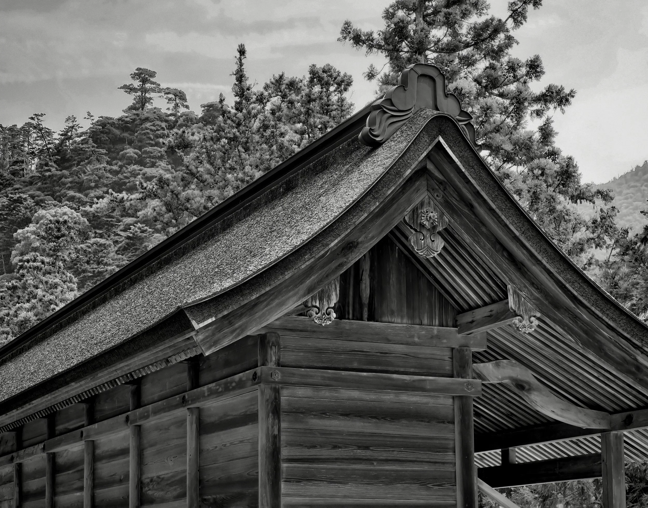 20190729 - 34_Nik-SEP_DxO.jpg