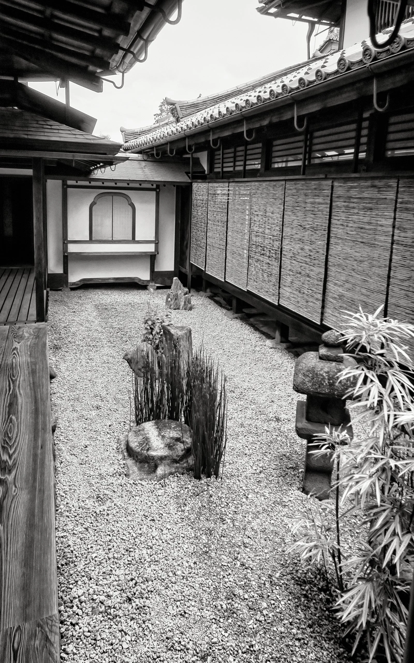 20190718 - 105_Nik_DxO.jpg