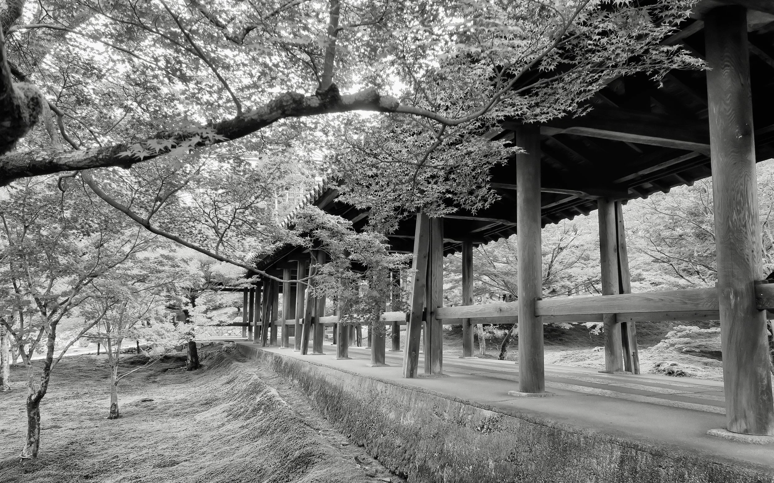 20190720 - 173_Nik_DxO.jpg