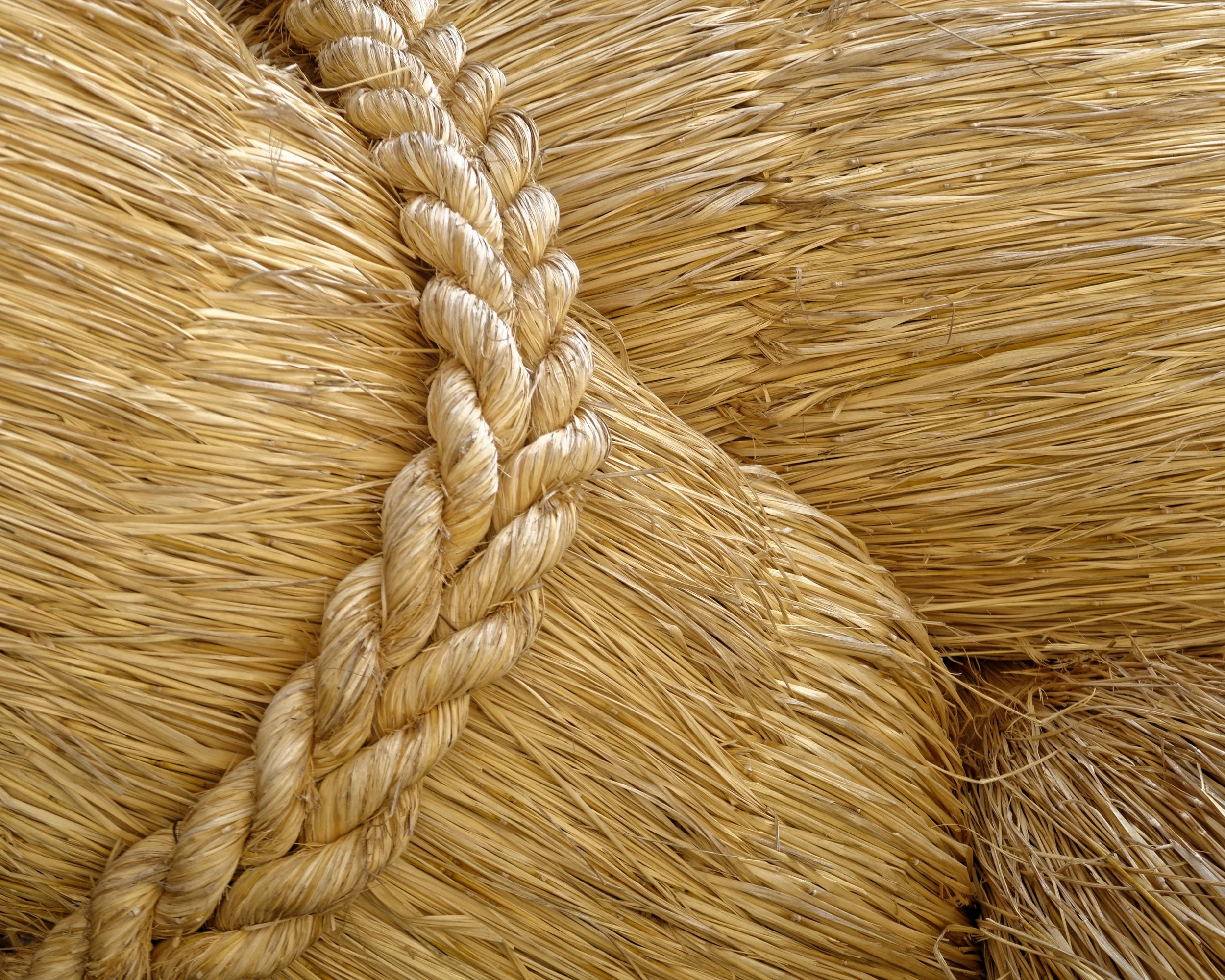 20190729 - 25_DxO.jpg