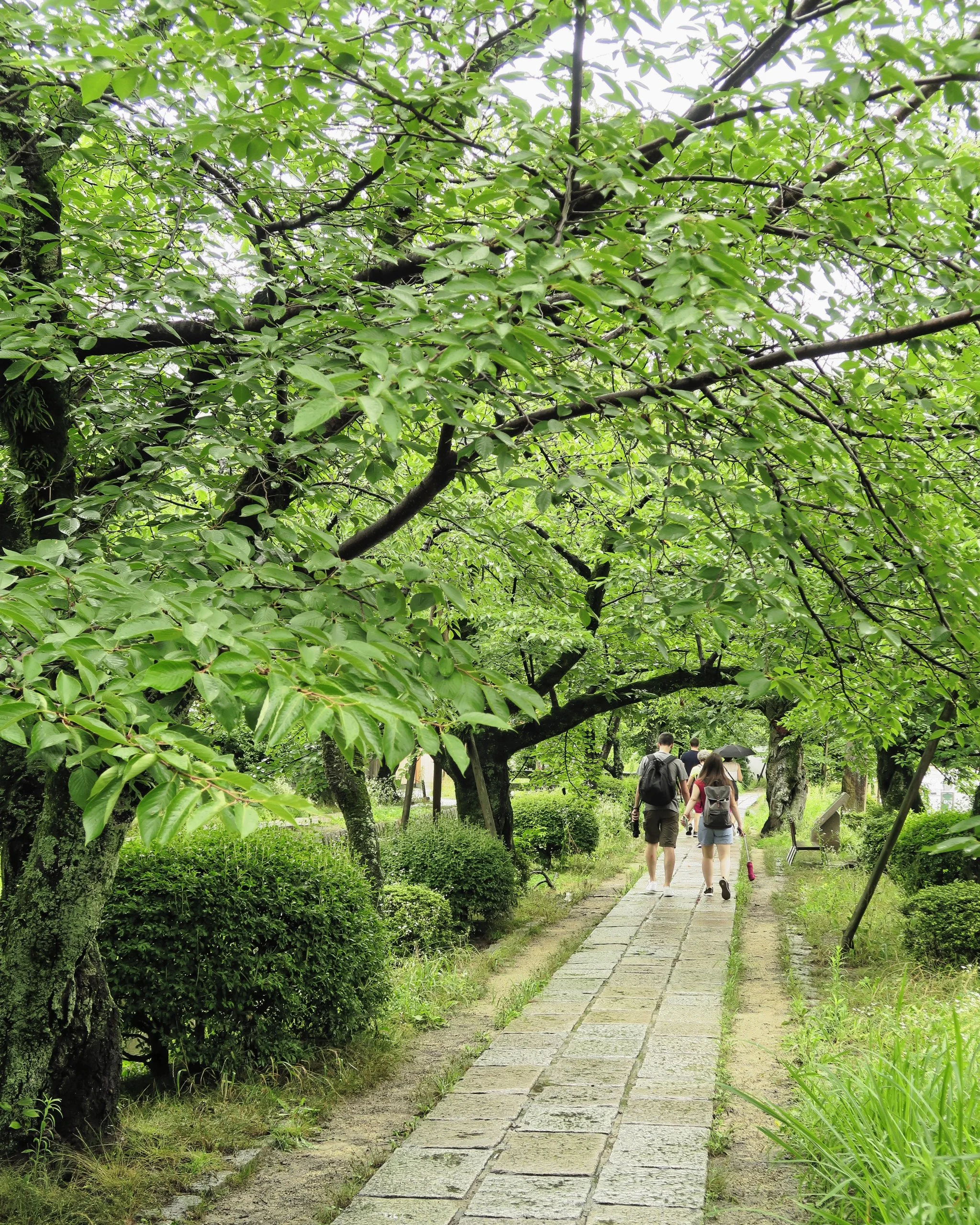 20190719 - 1_DxO.jpg