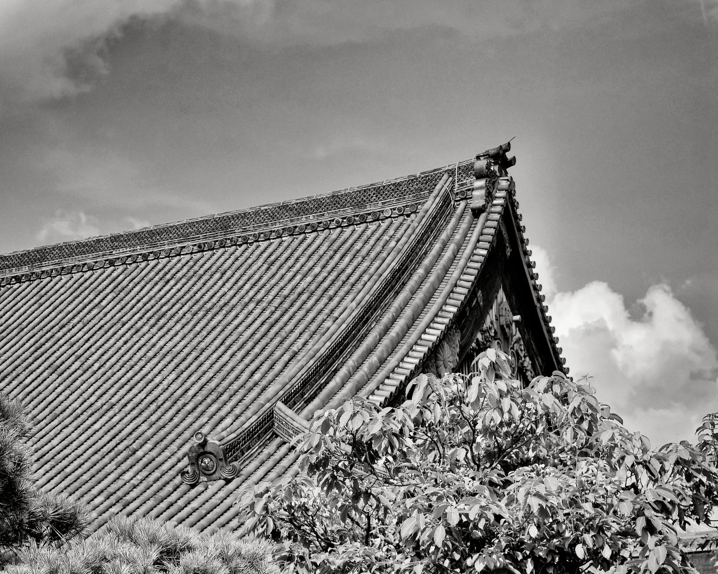 20190717 - 195_Nik_DxO.jpg