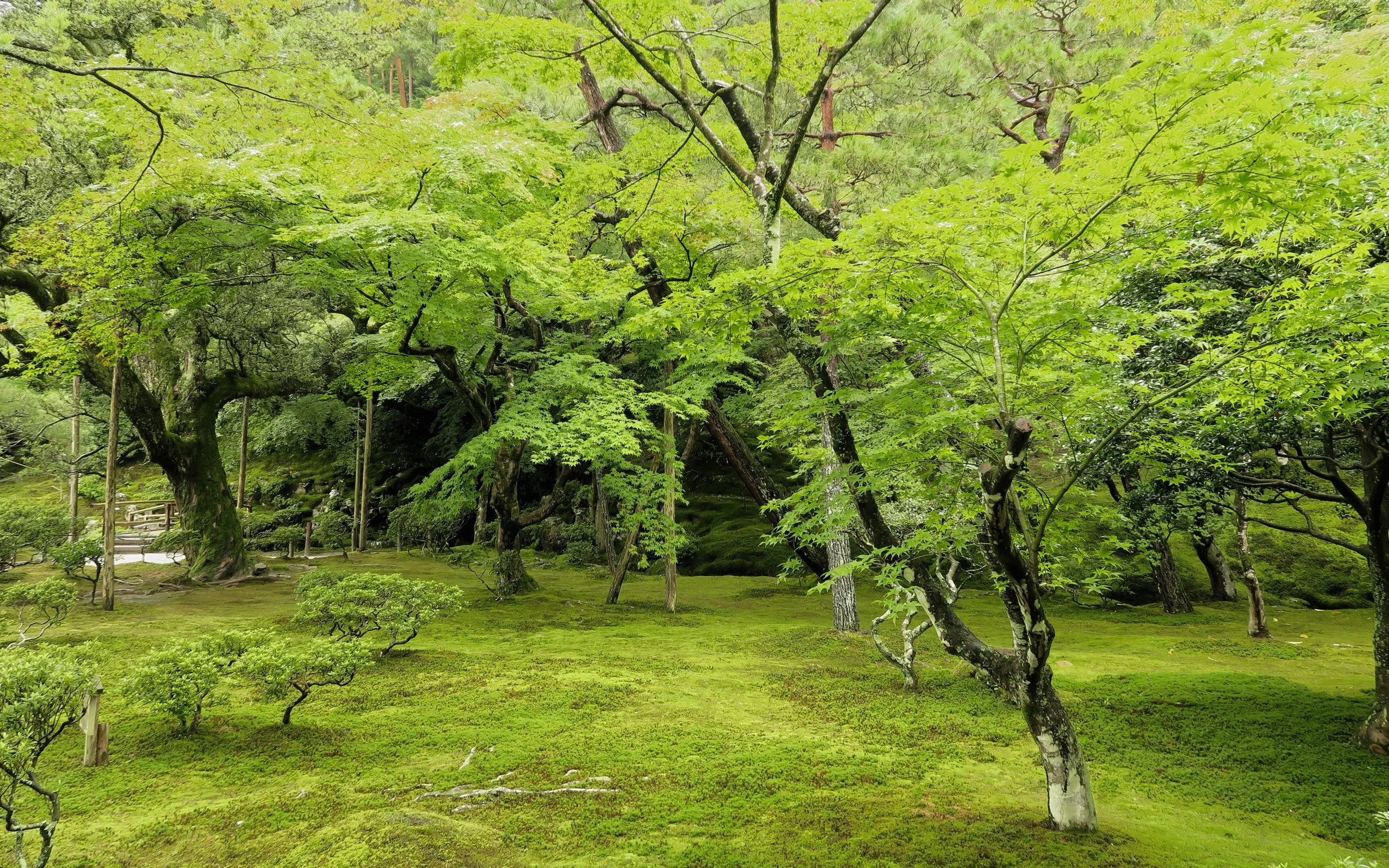 20190719 - 126_DxO.jpg