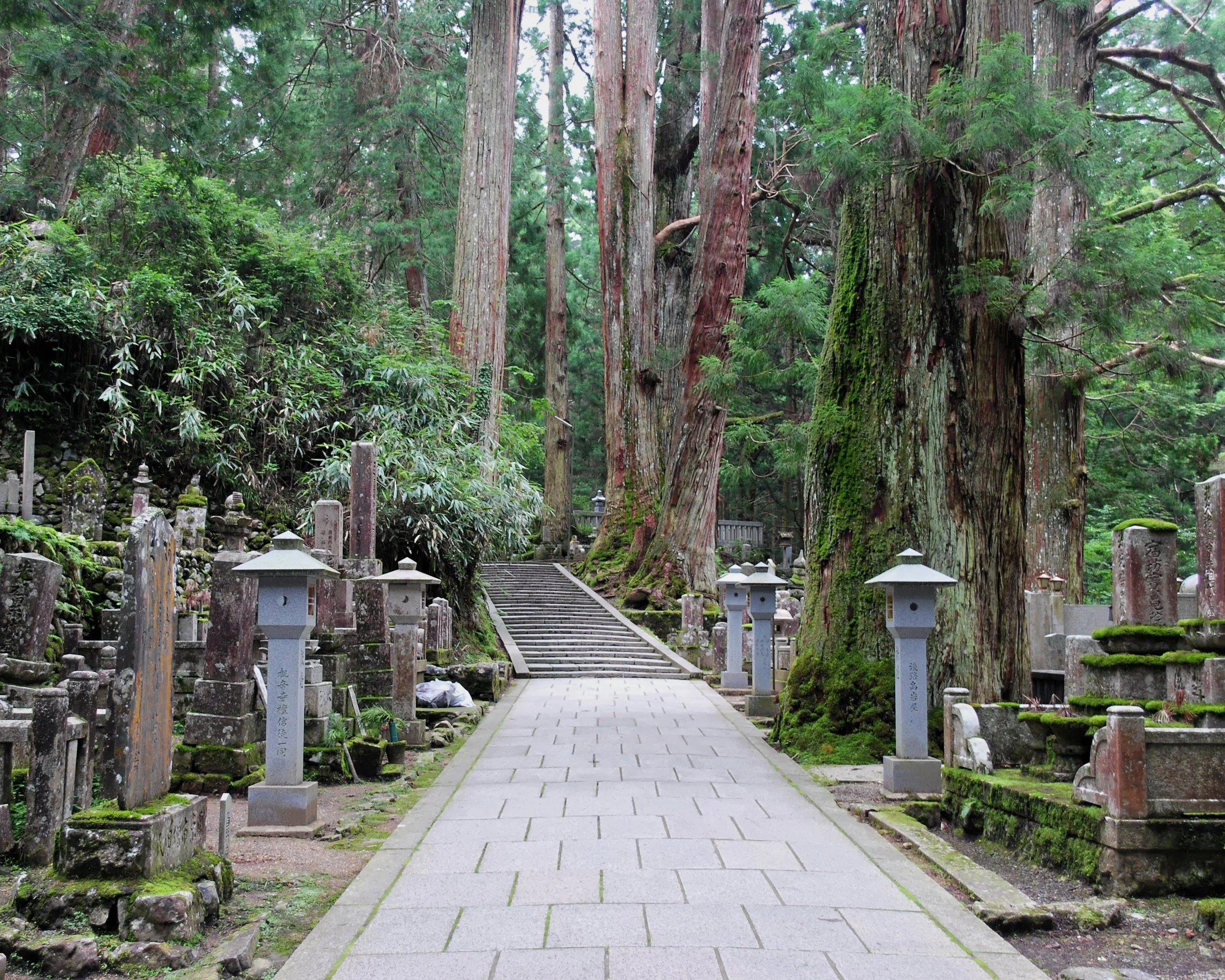 20190722 - 162_DxO.jpg