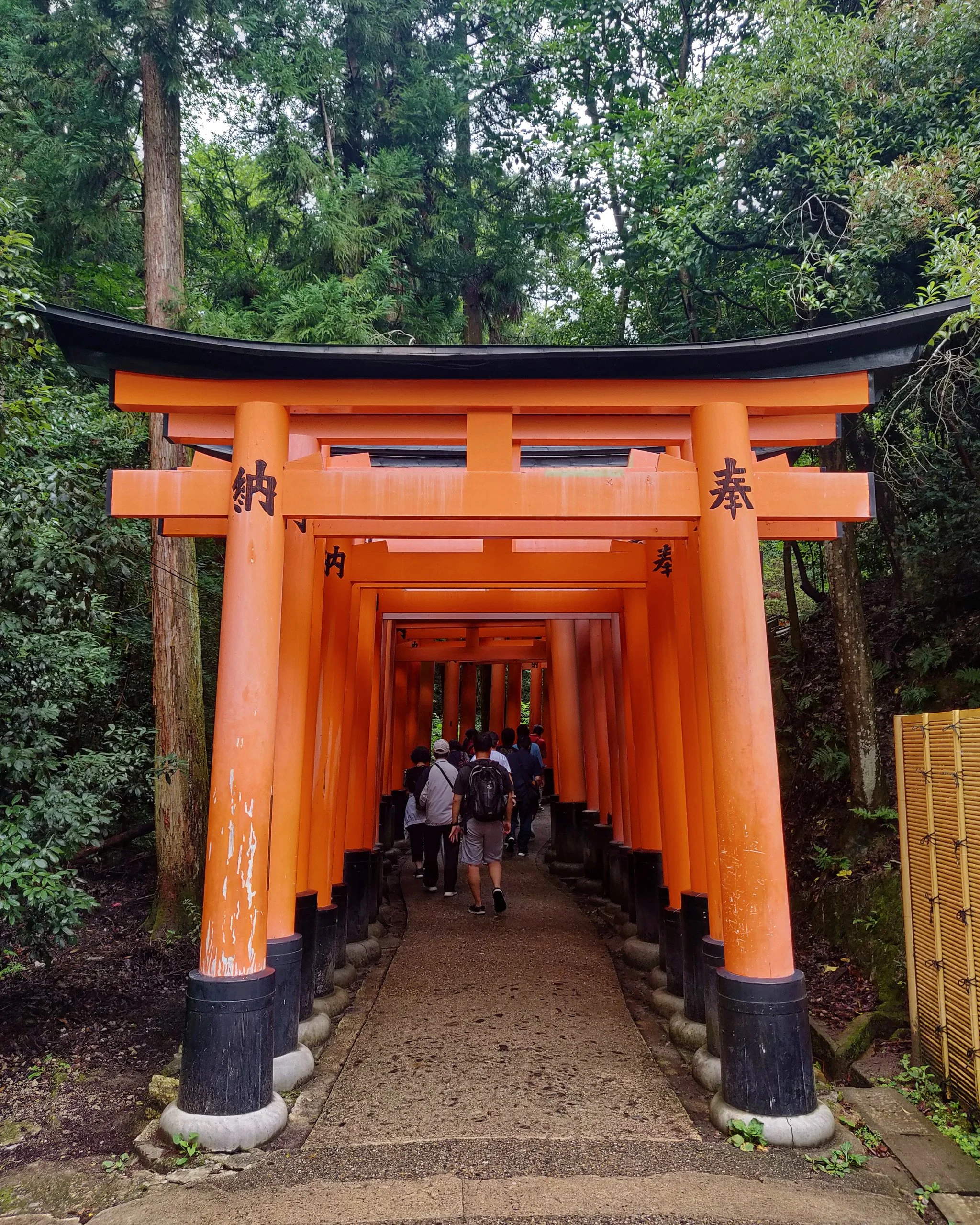 20190720 - 35_DxO.jpg