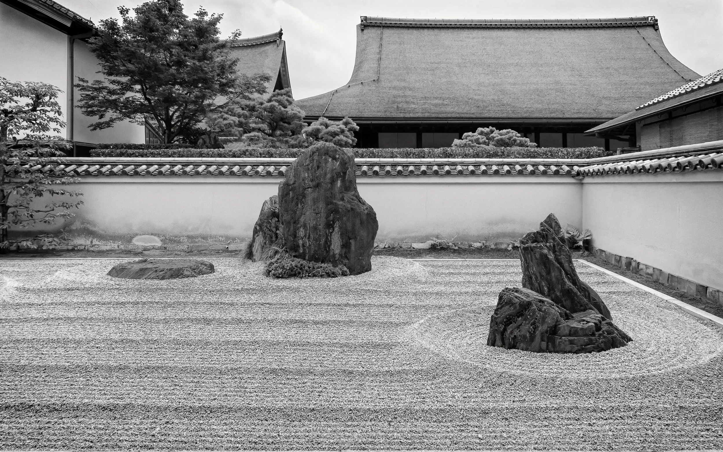 20190718 - 80_Nik_DxO.jpg