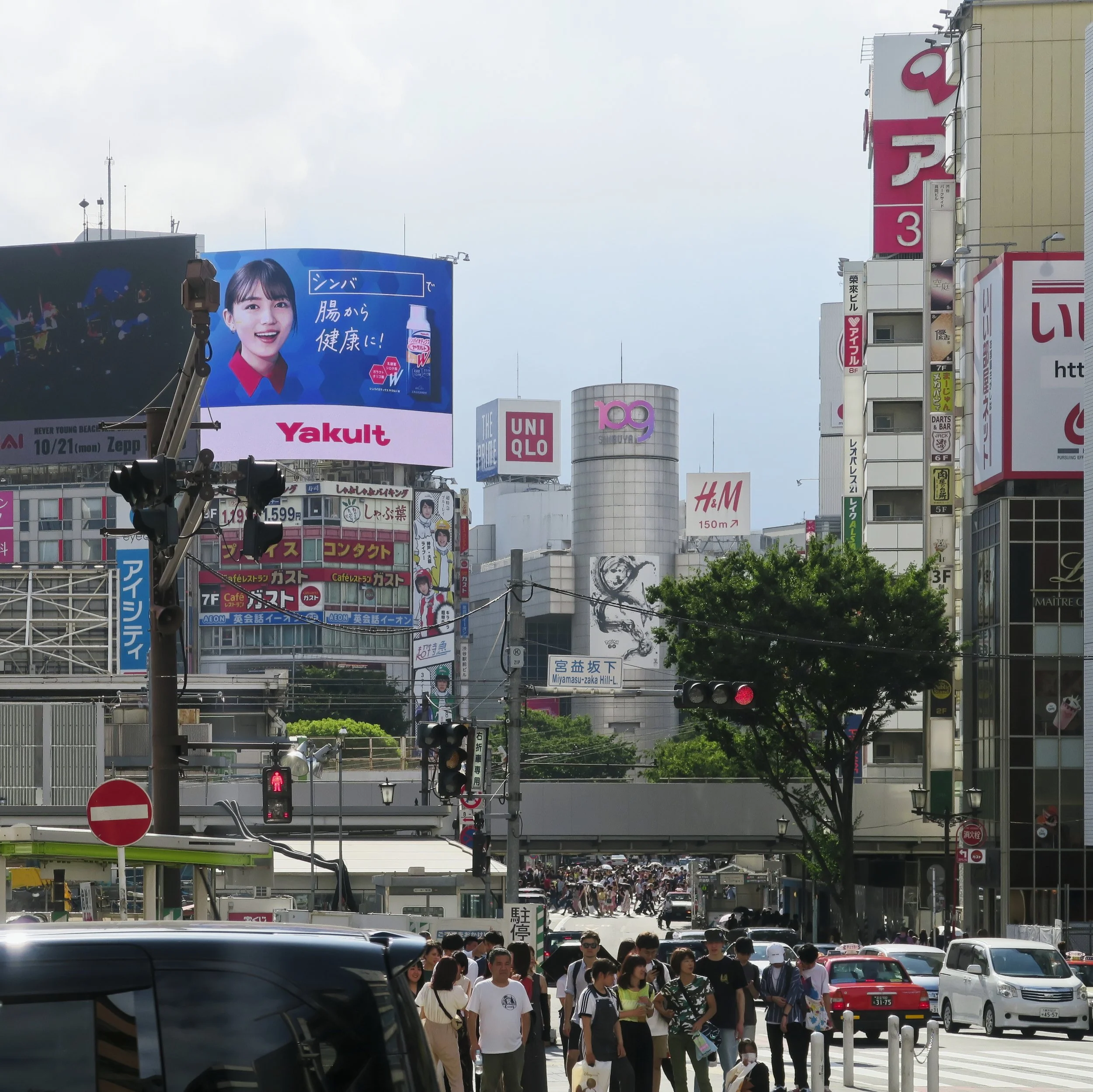 20190811 - 115_DxO.jpg