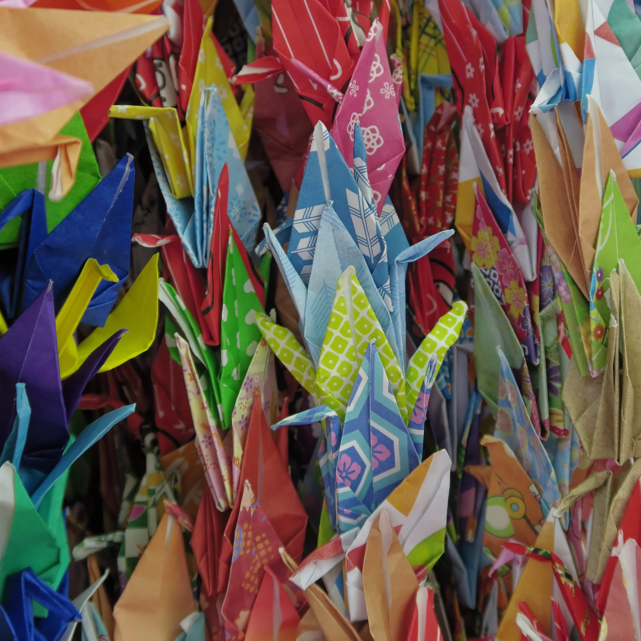 20190725 - 15_DxO.jpg