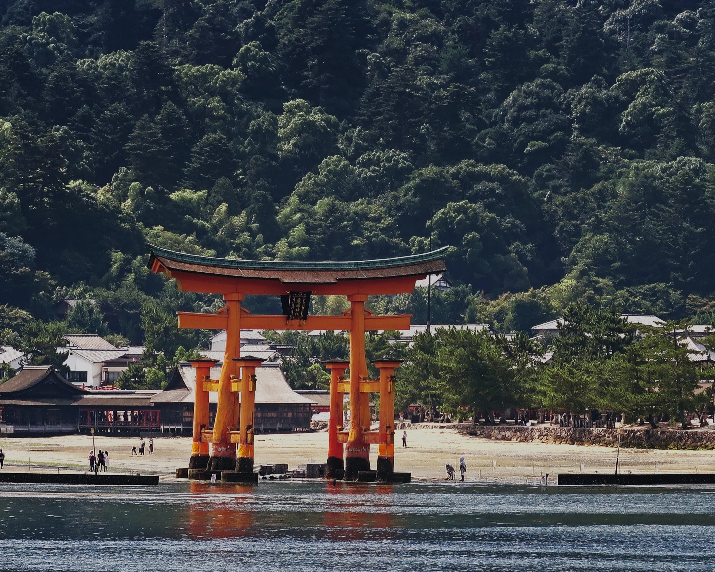 20190726 - 10_Nik-CEP_DxO.jpg