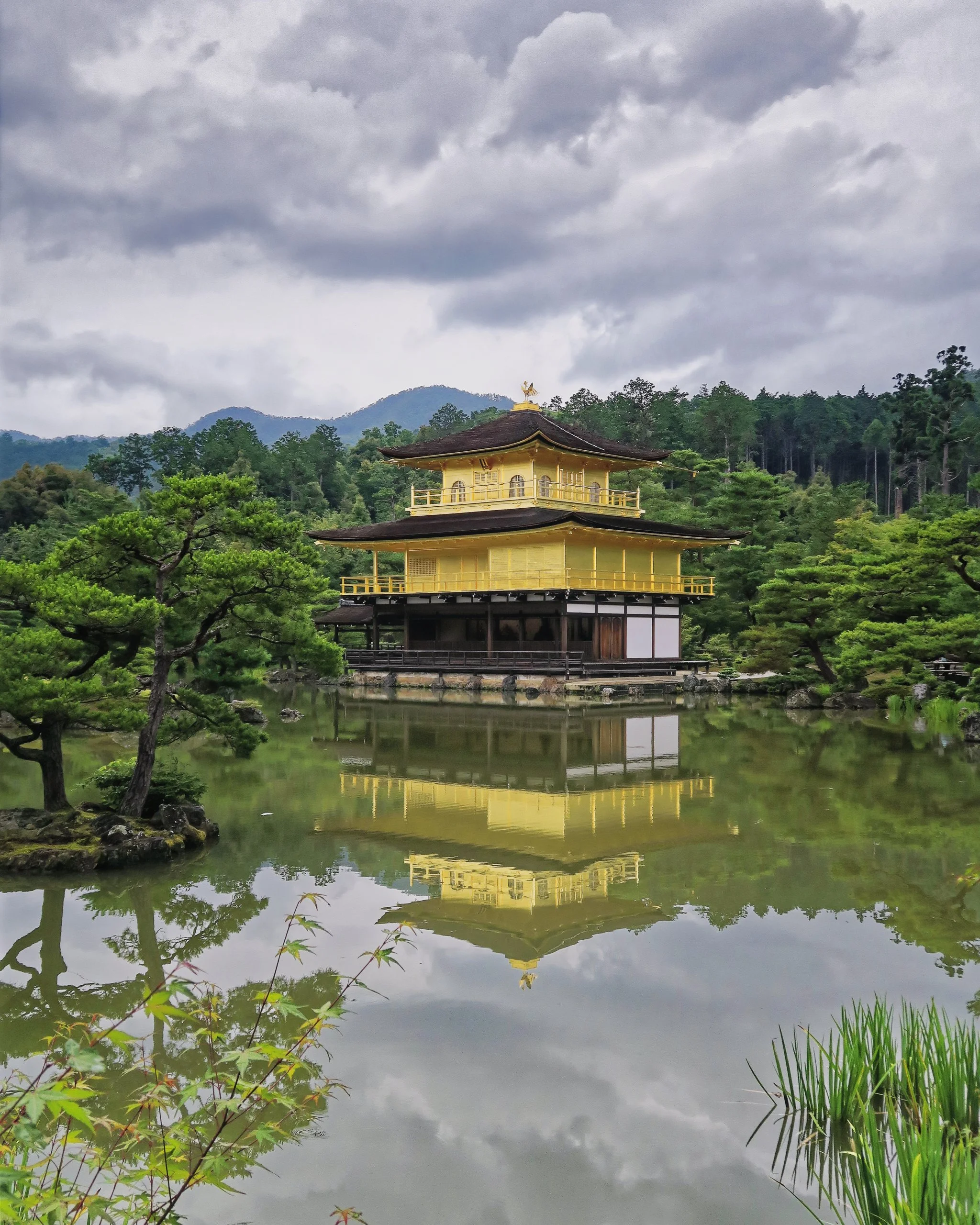 20190718 - 203_Nik-CEP_DxO.jpg