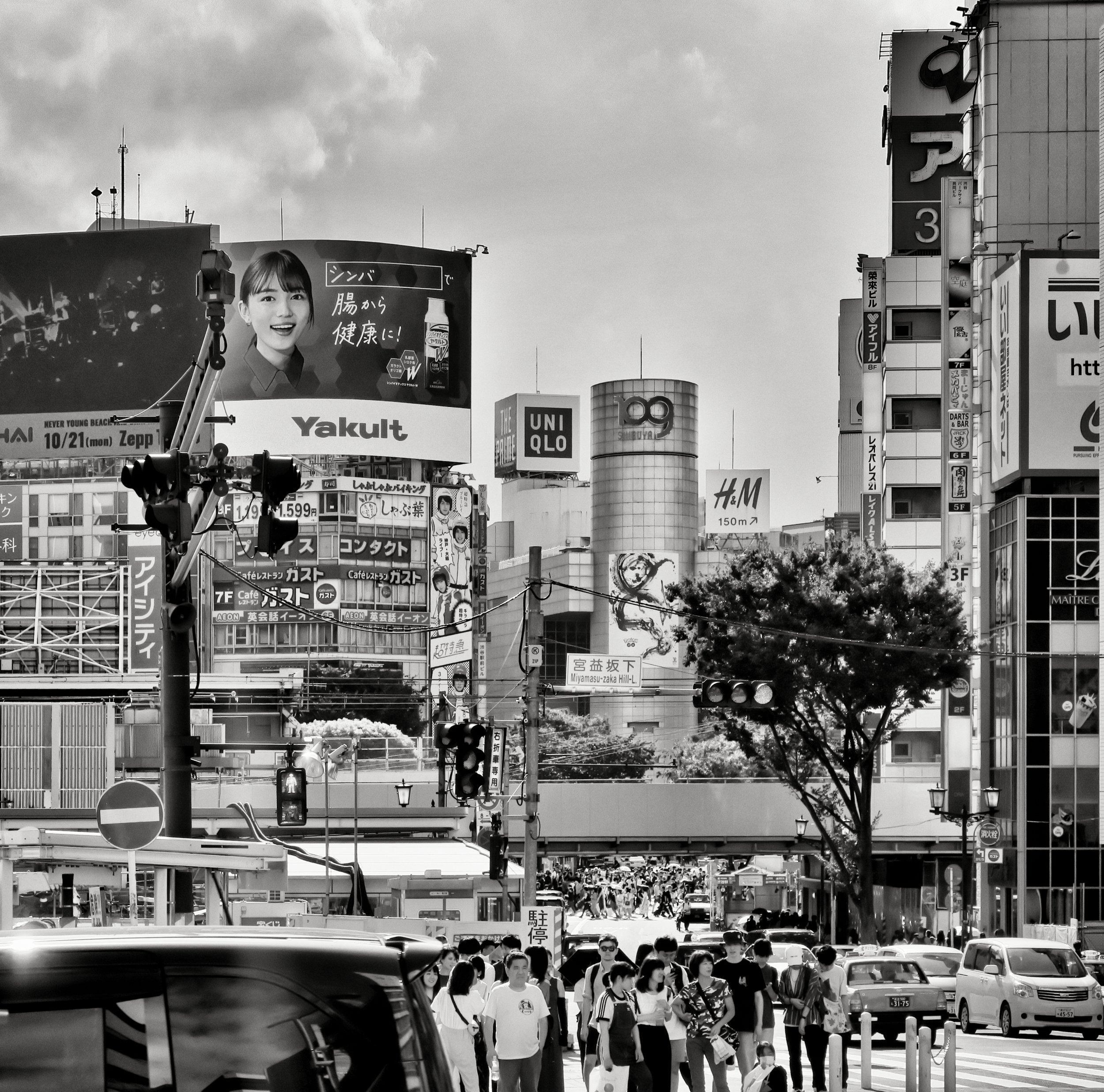 20190811 - 115_Nik_DxO.jpg